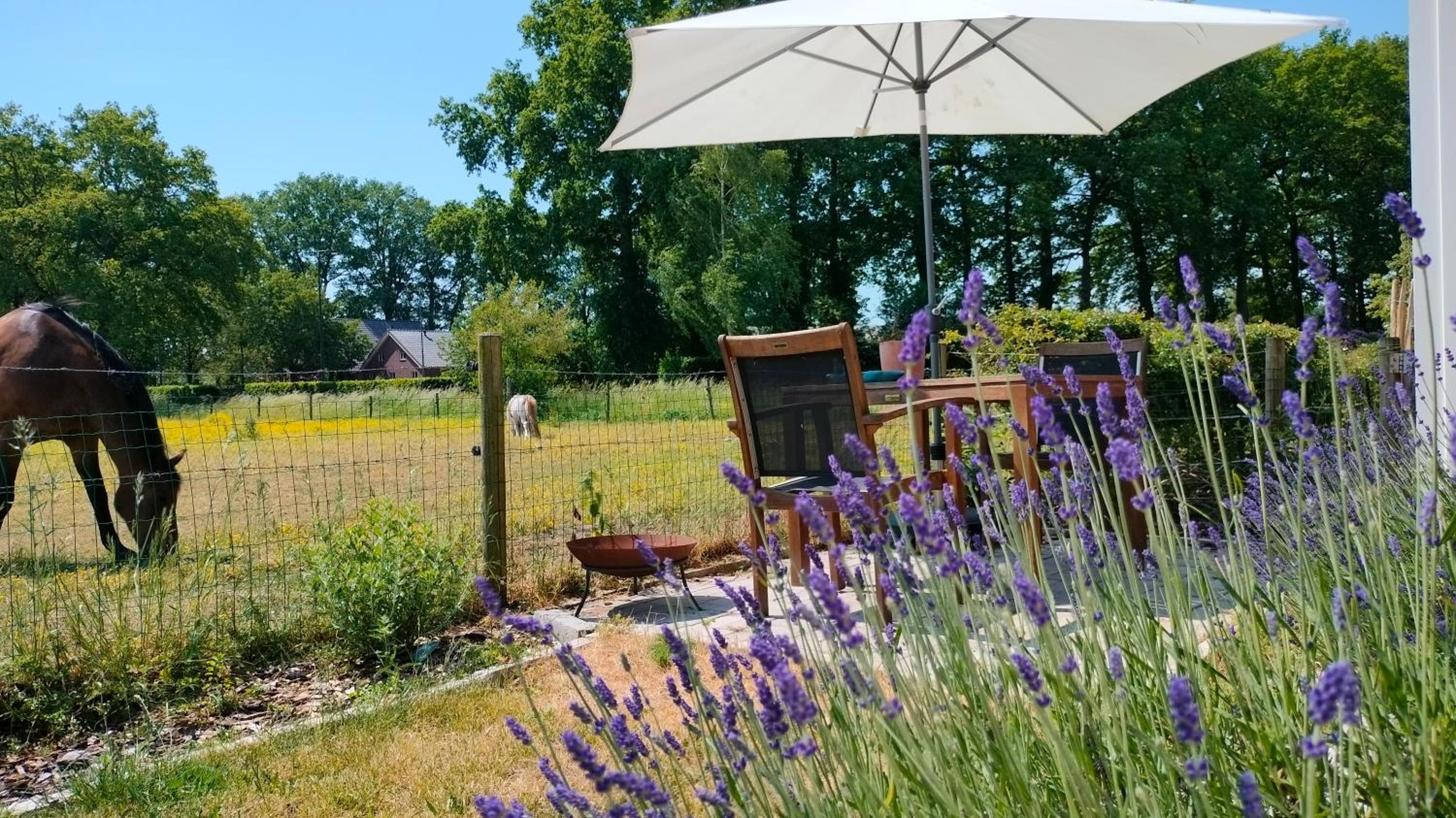 Bed and Breakfast Hammerhoeve