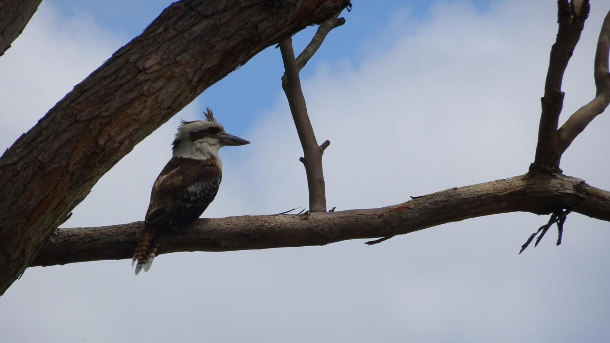 Sojourn - Culburra Beach