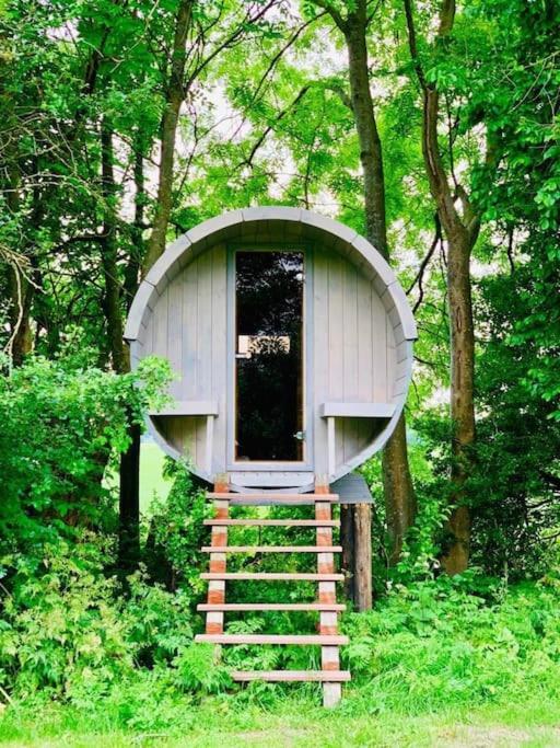 Twee heerlijke Boomhutten in de natuur, Amsterdam view 5