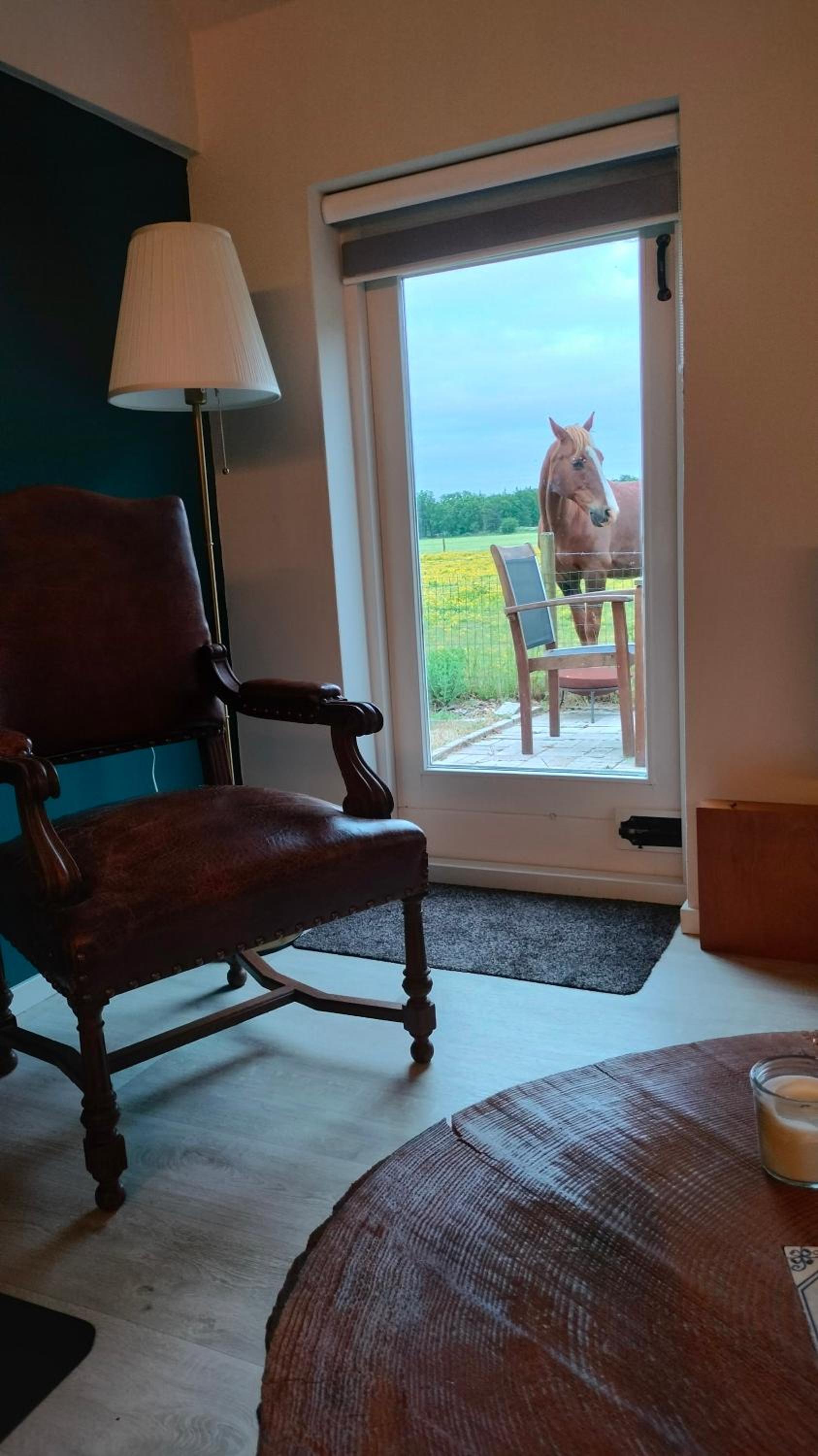 Bed and Breakfast Hammerhoeve