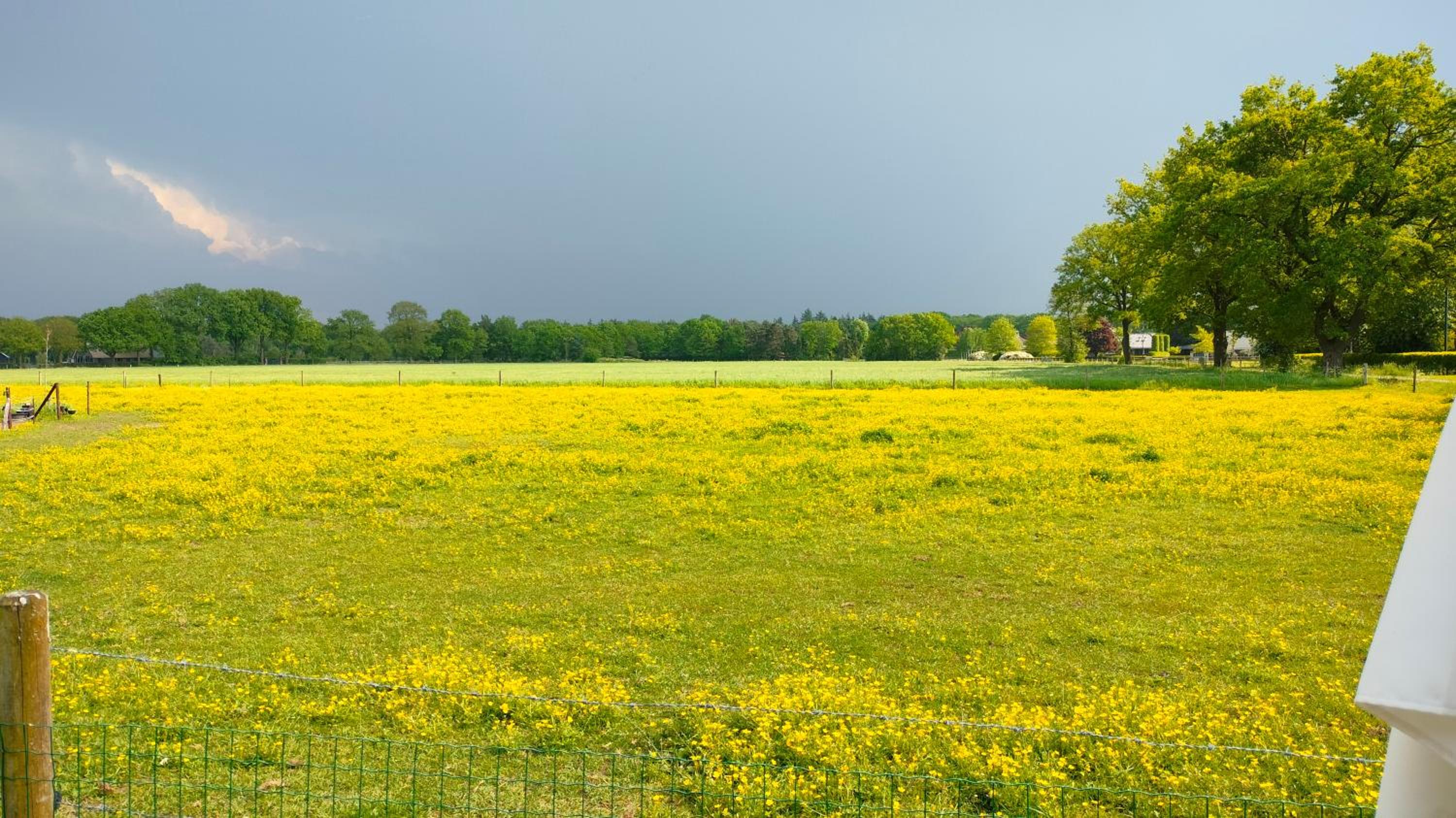 Bed and Breakfast Hammerhoeve