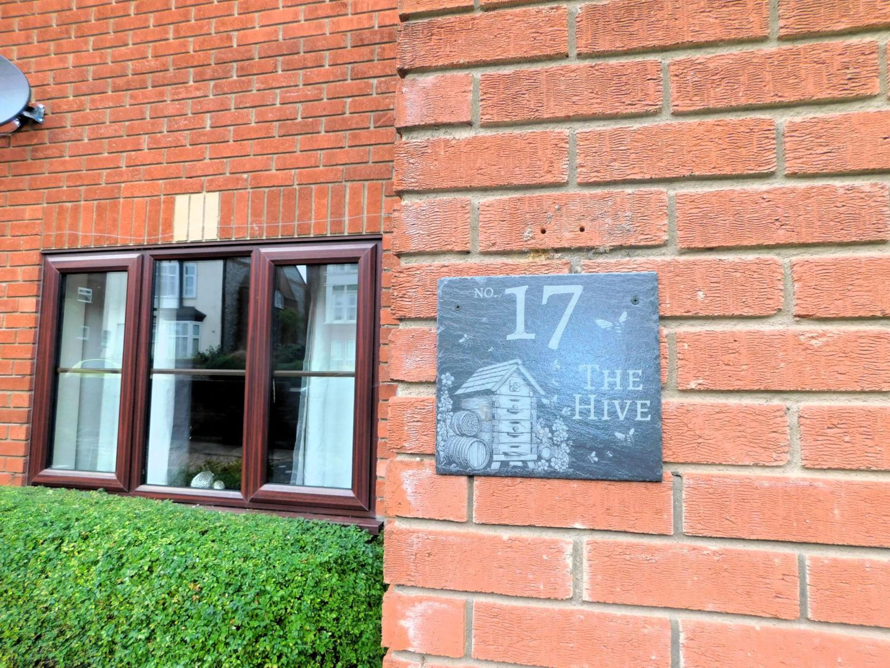 The Hive view 5