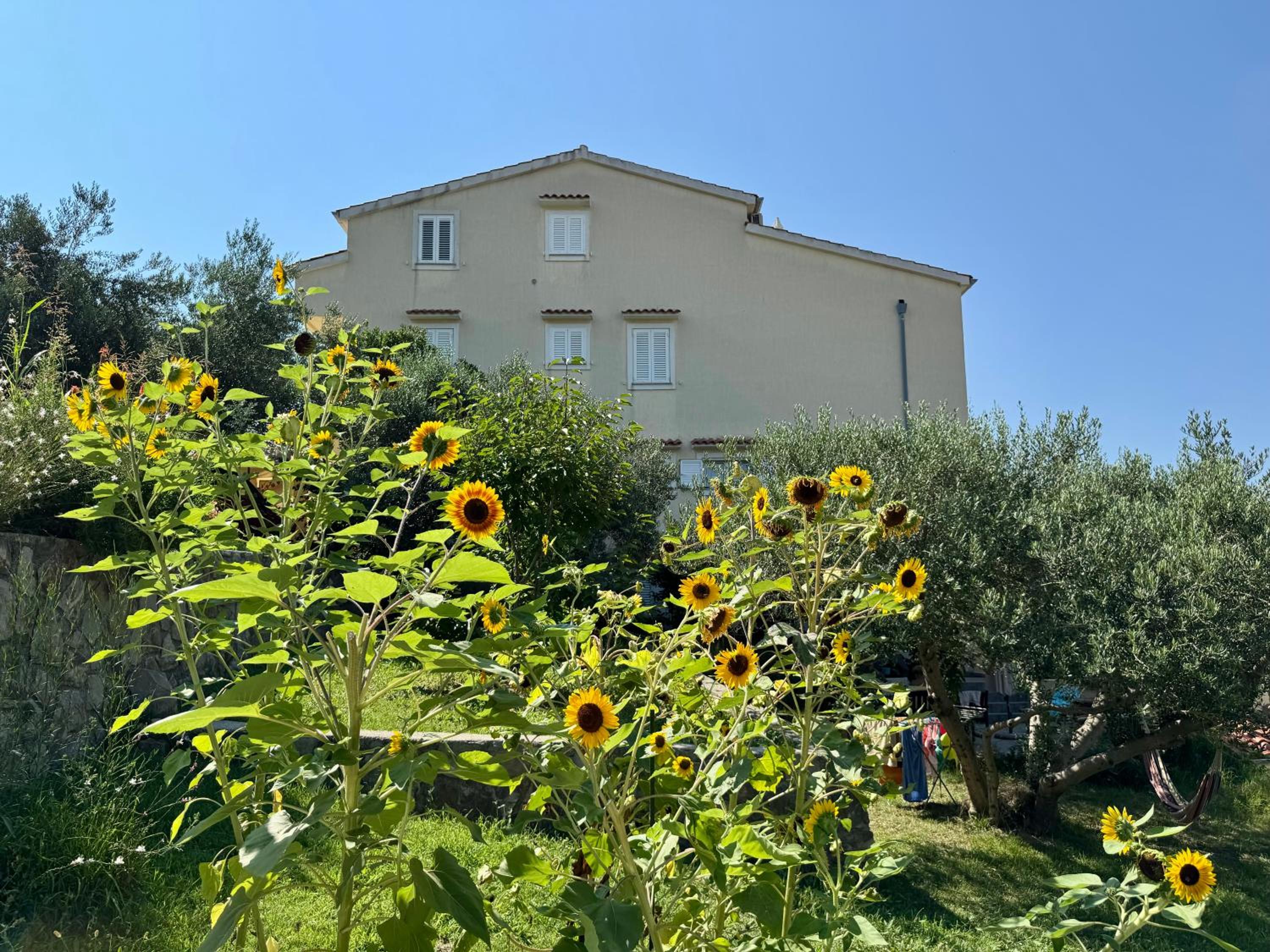 Apartments Maričić Banjol