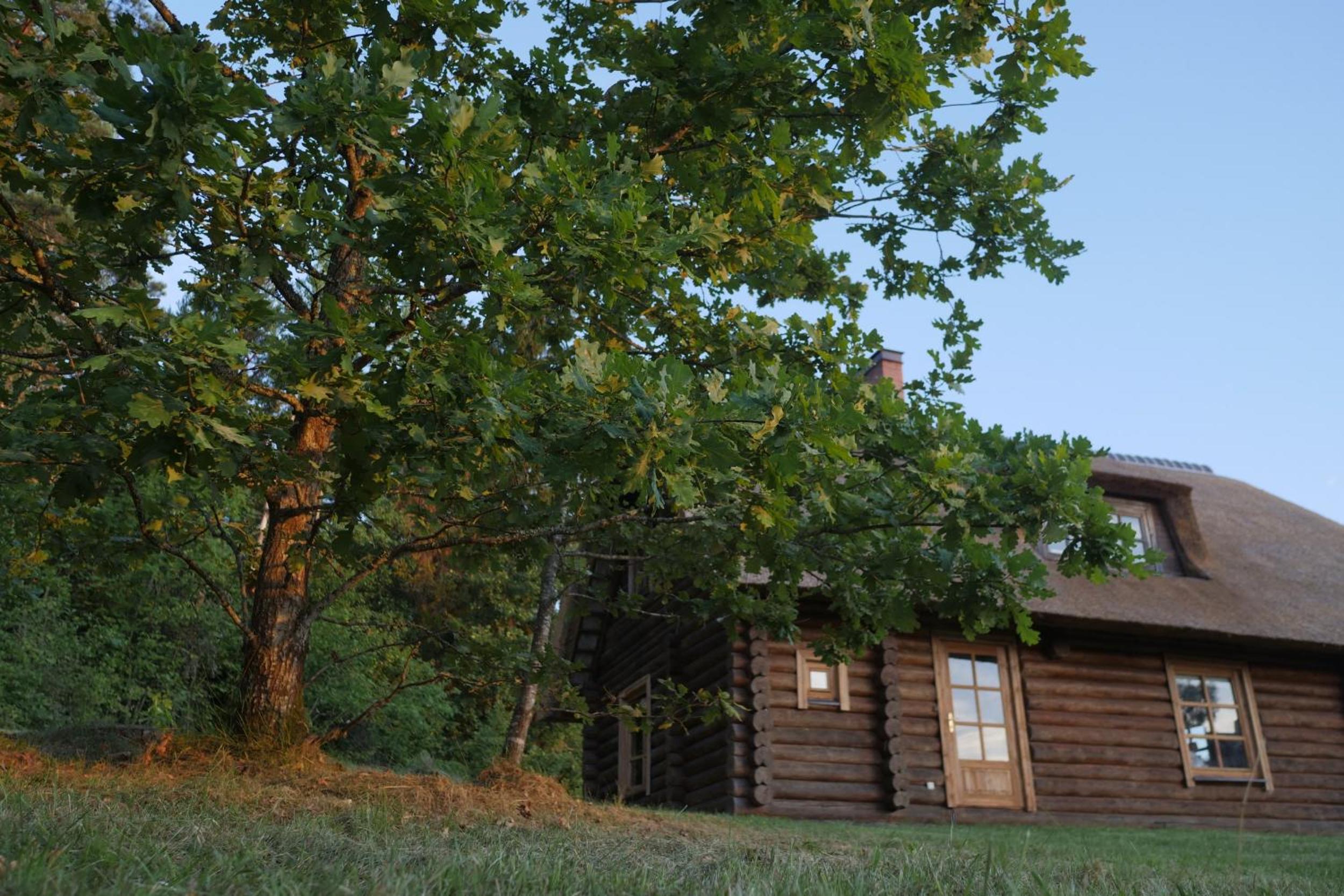 Poilsiadienis