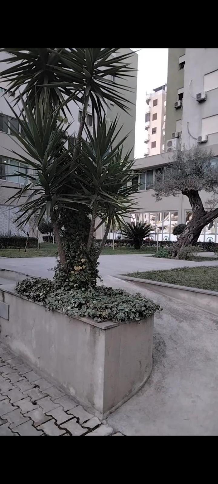 Green Tower