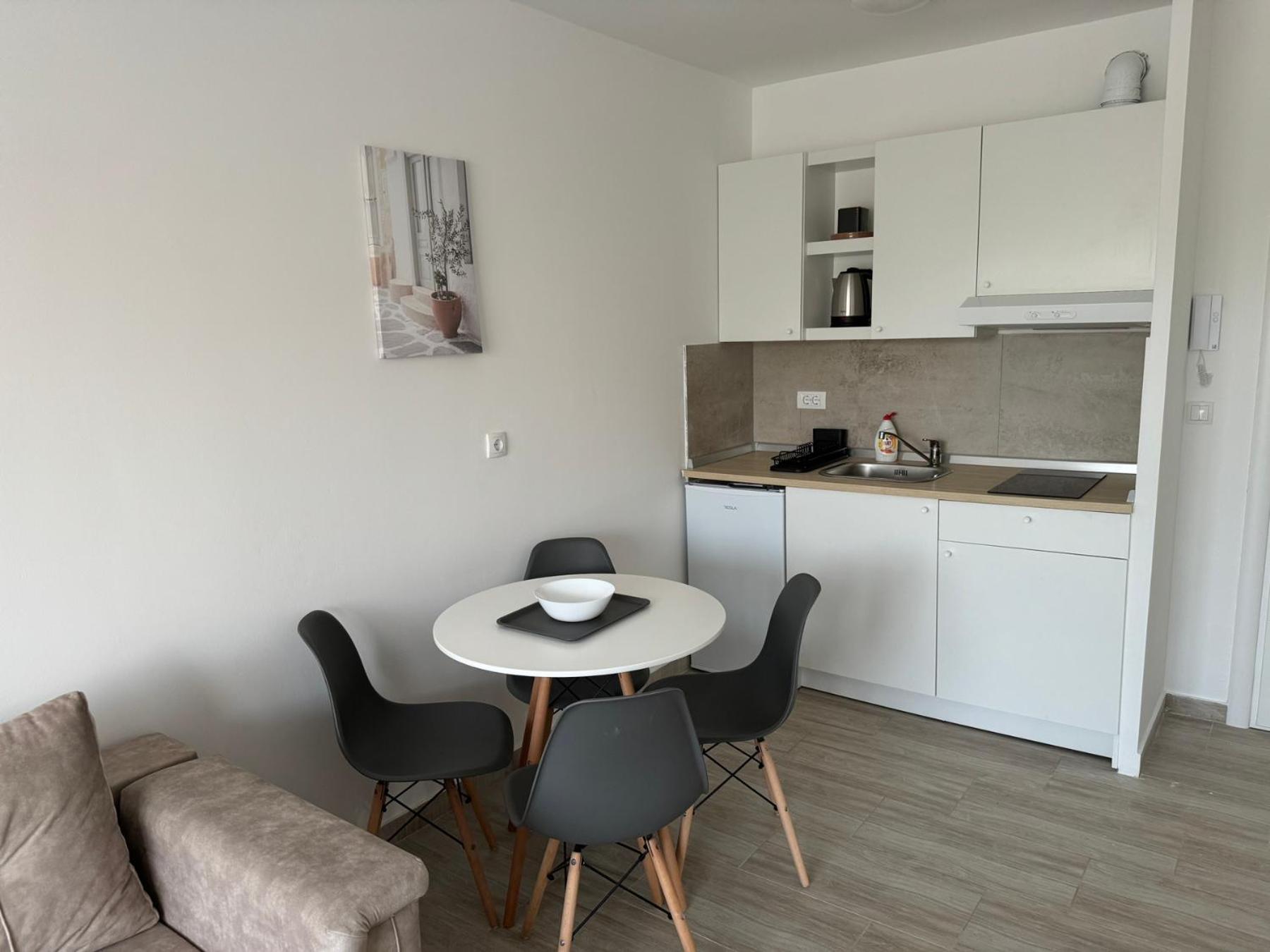 Apartman Vasa Srebrno Jezero view 3