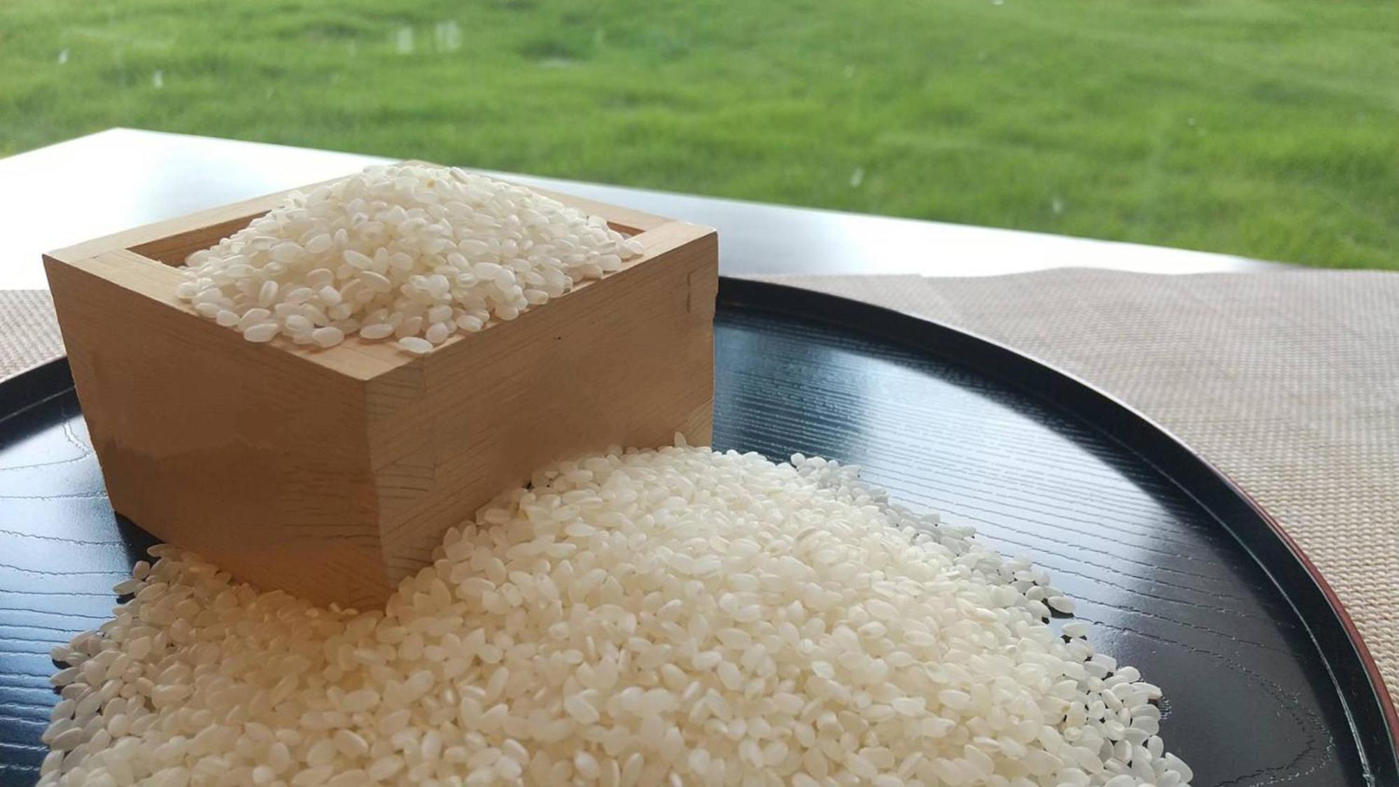 Narita Vacations - Toyoko Inn Narita Airport Honkan - Property Image 2