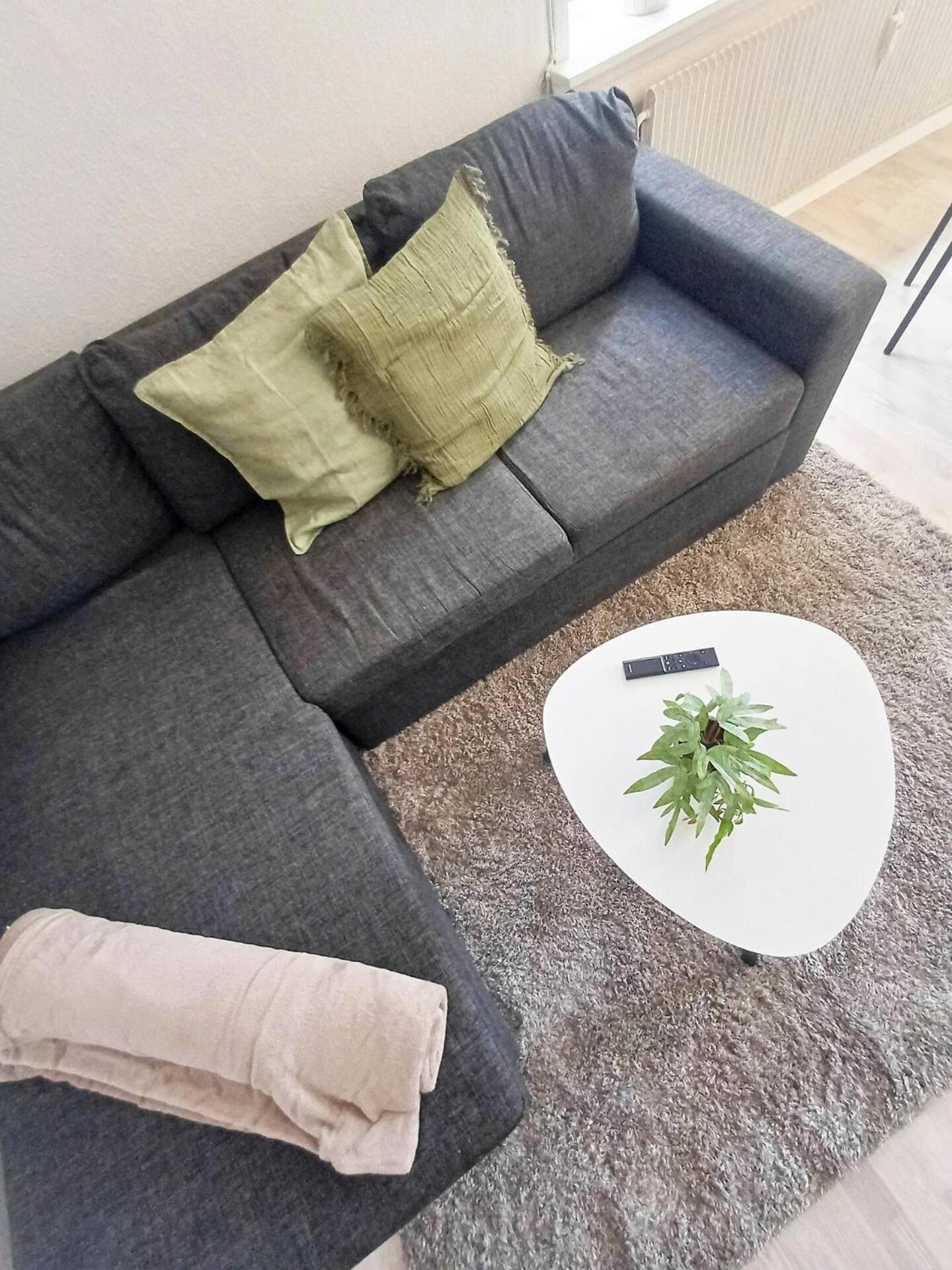 Cozy 1 bedroom apartment B