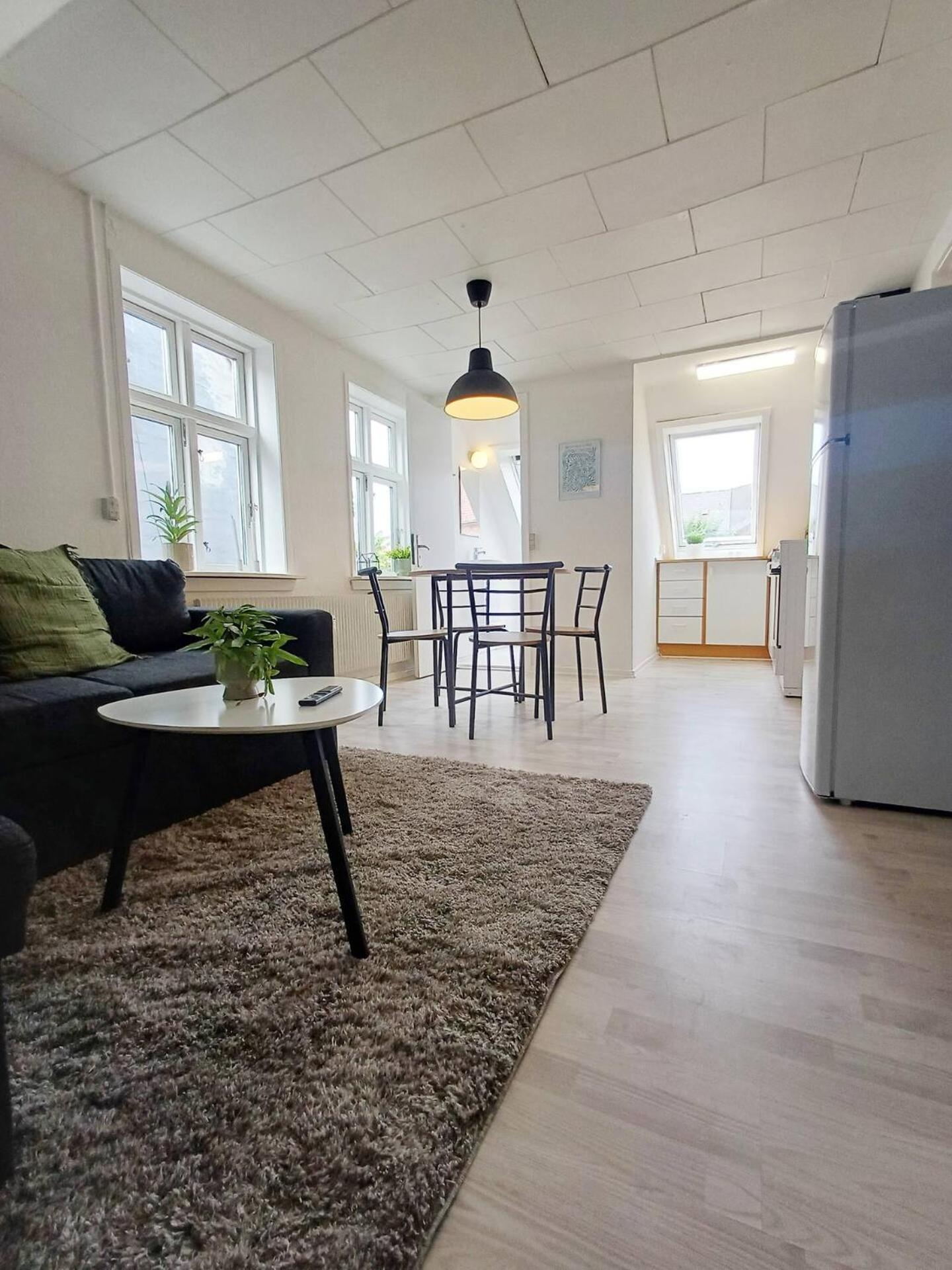 Cozy 1 bedroom apartment B
