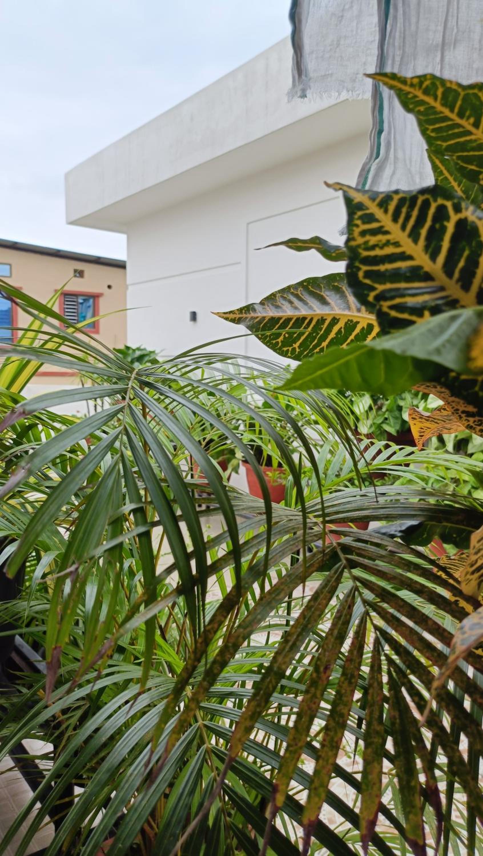 Areca Homestay