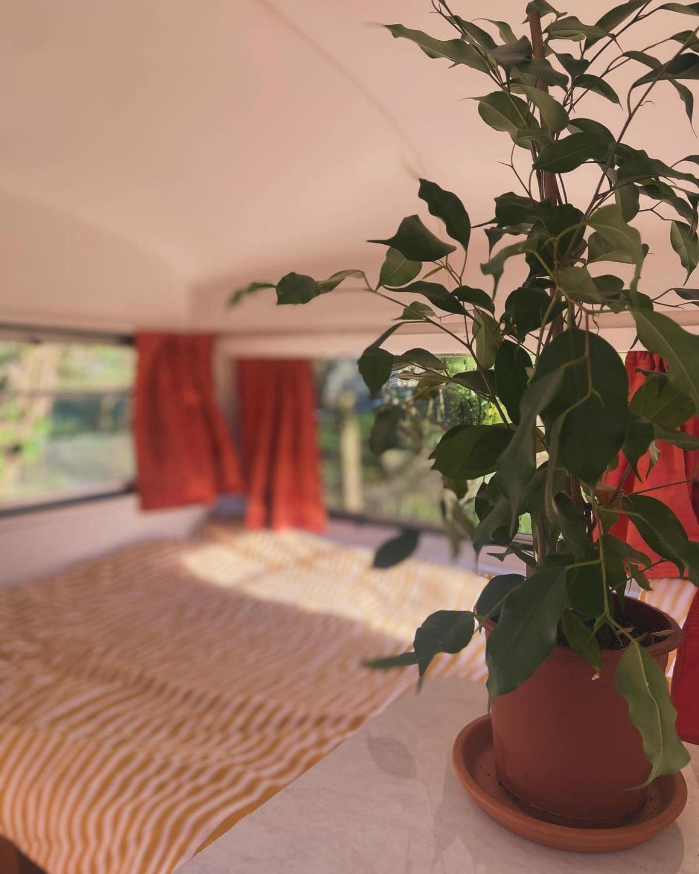 Glastonbury Vacations - Blue Lias Catering - Property Image 3
