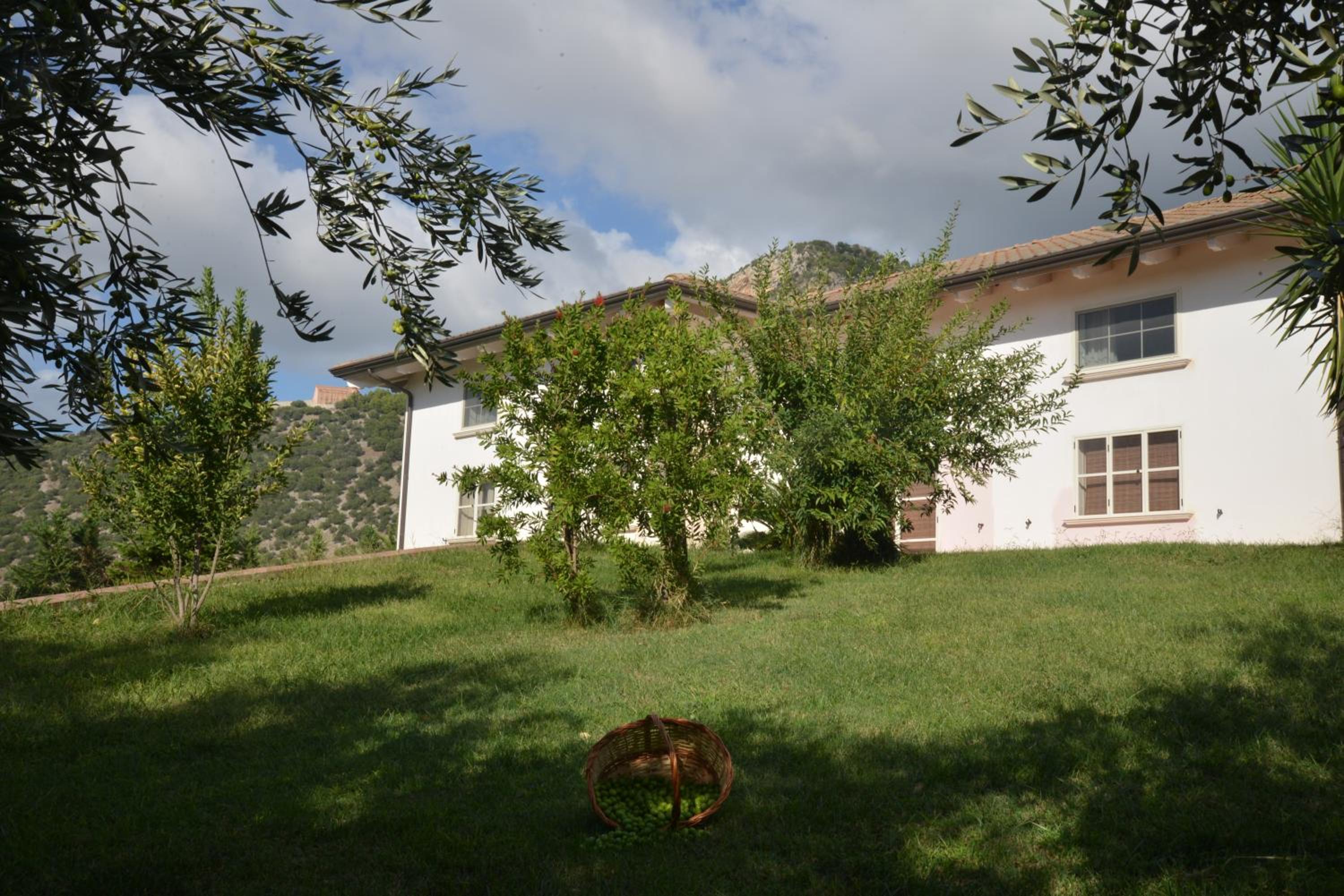 B&B Macchia d'Olmo