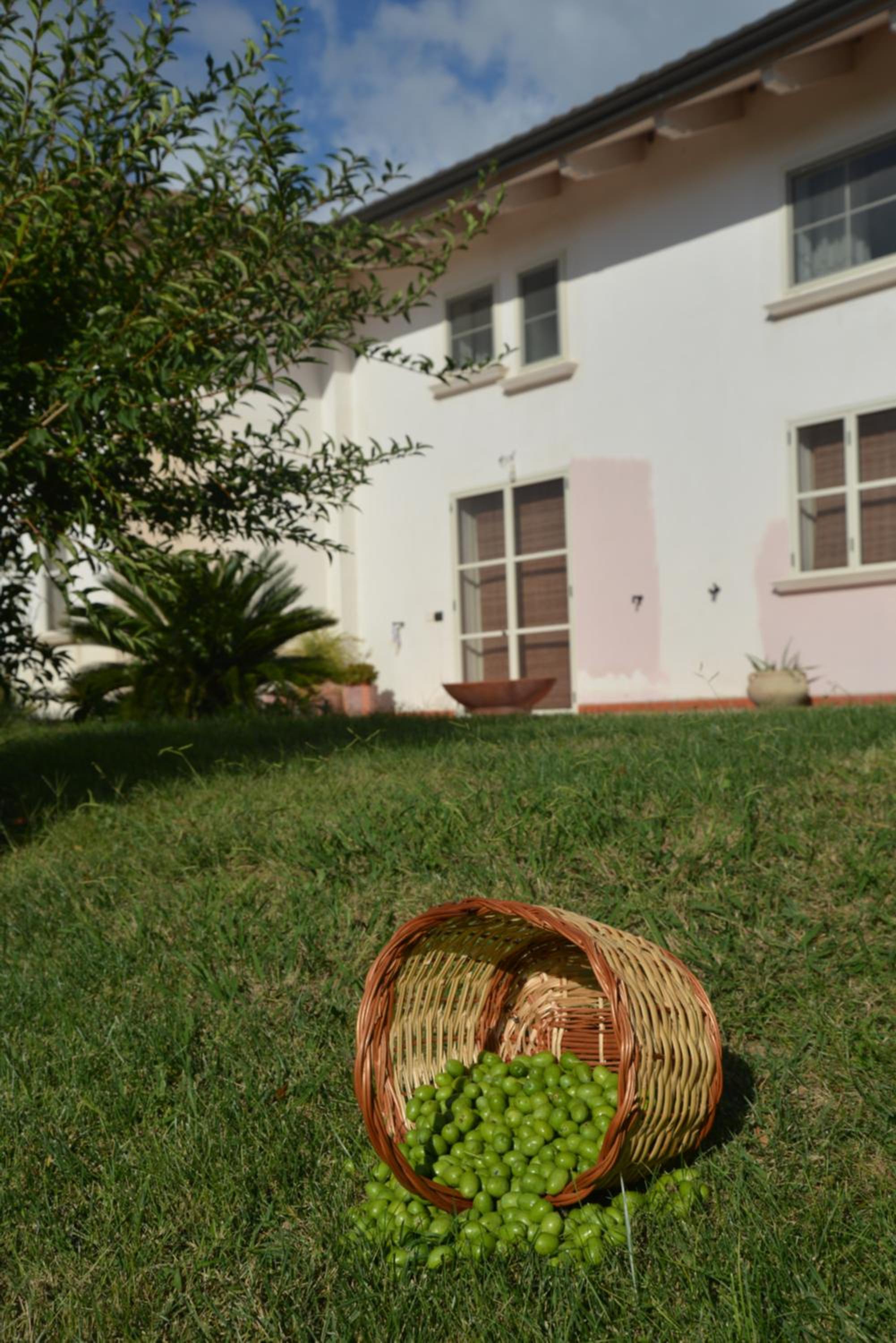 B&B Macchia d'Olmo