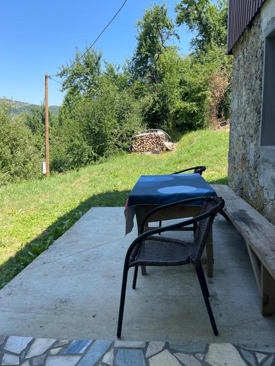 Ethno guesthouse Tara