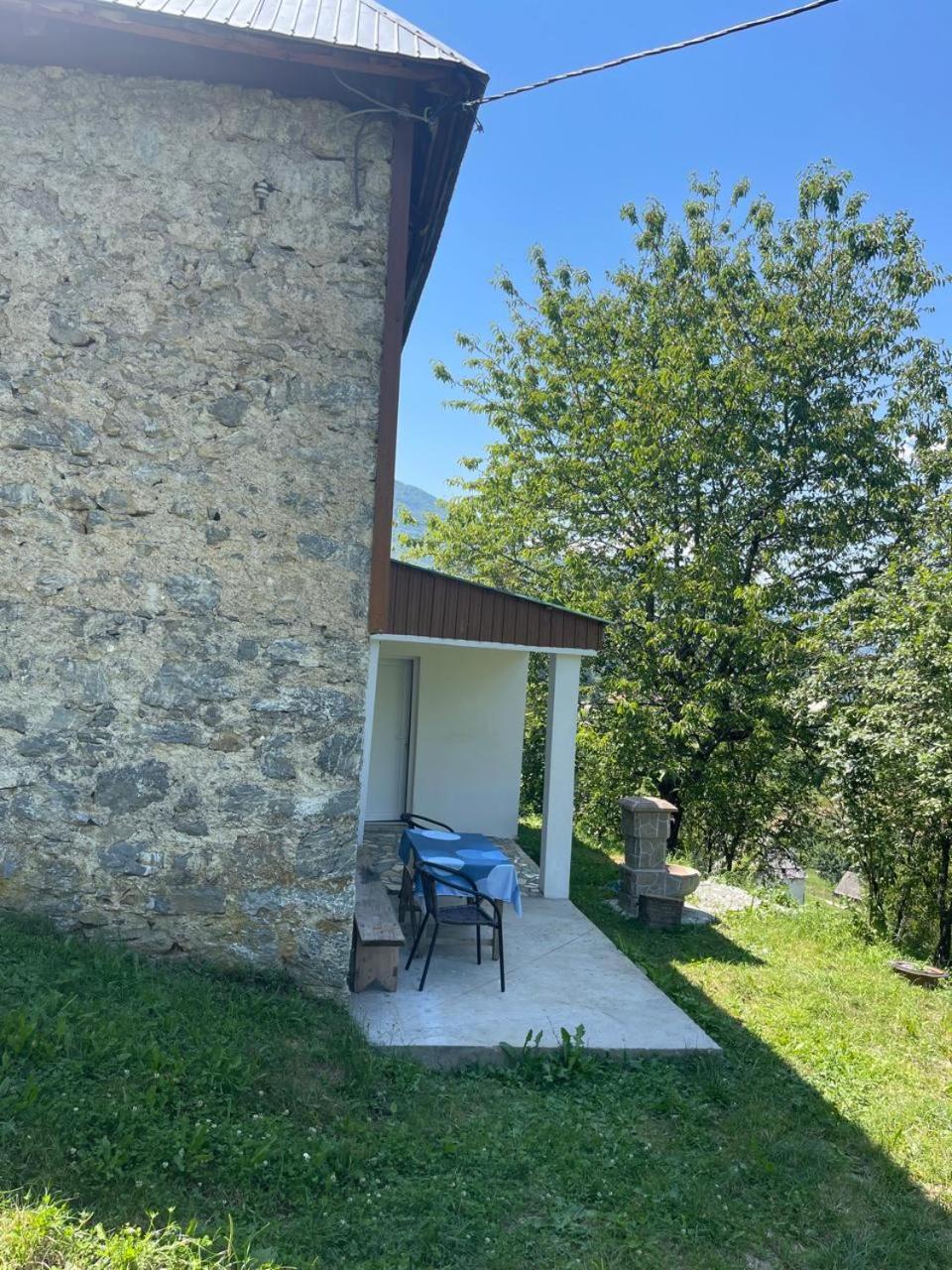 Ethno guesthouse Tara