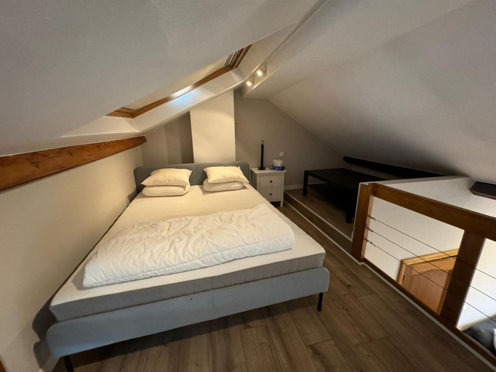 Cozy flat Ixelles