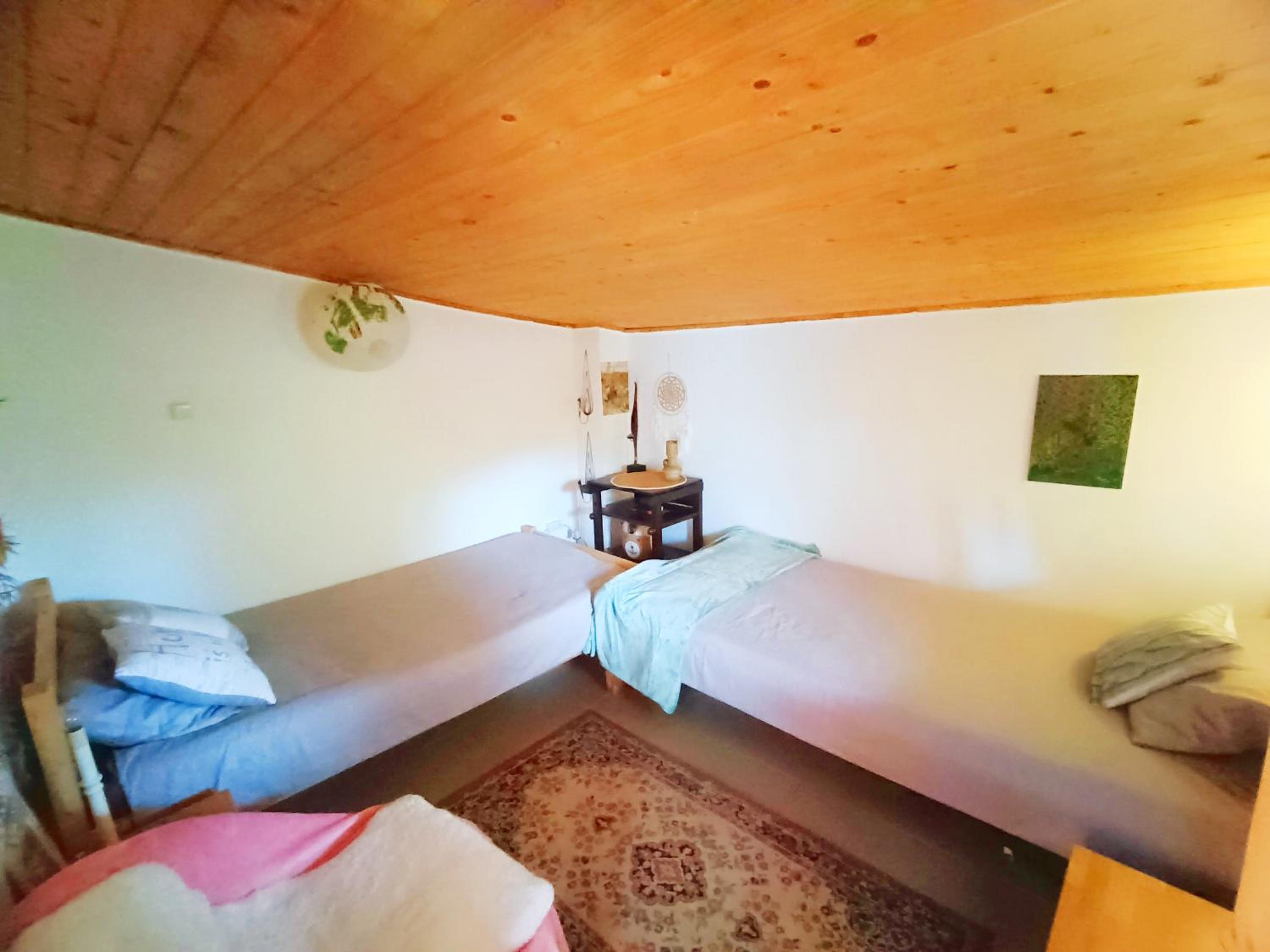 Cabana din padure view 4