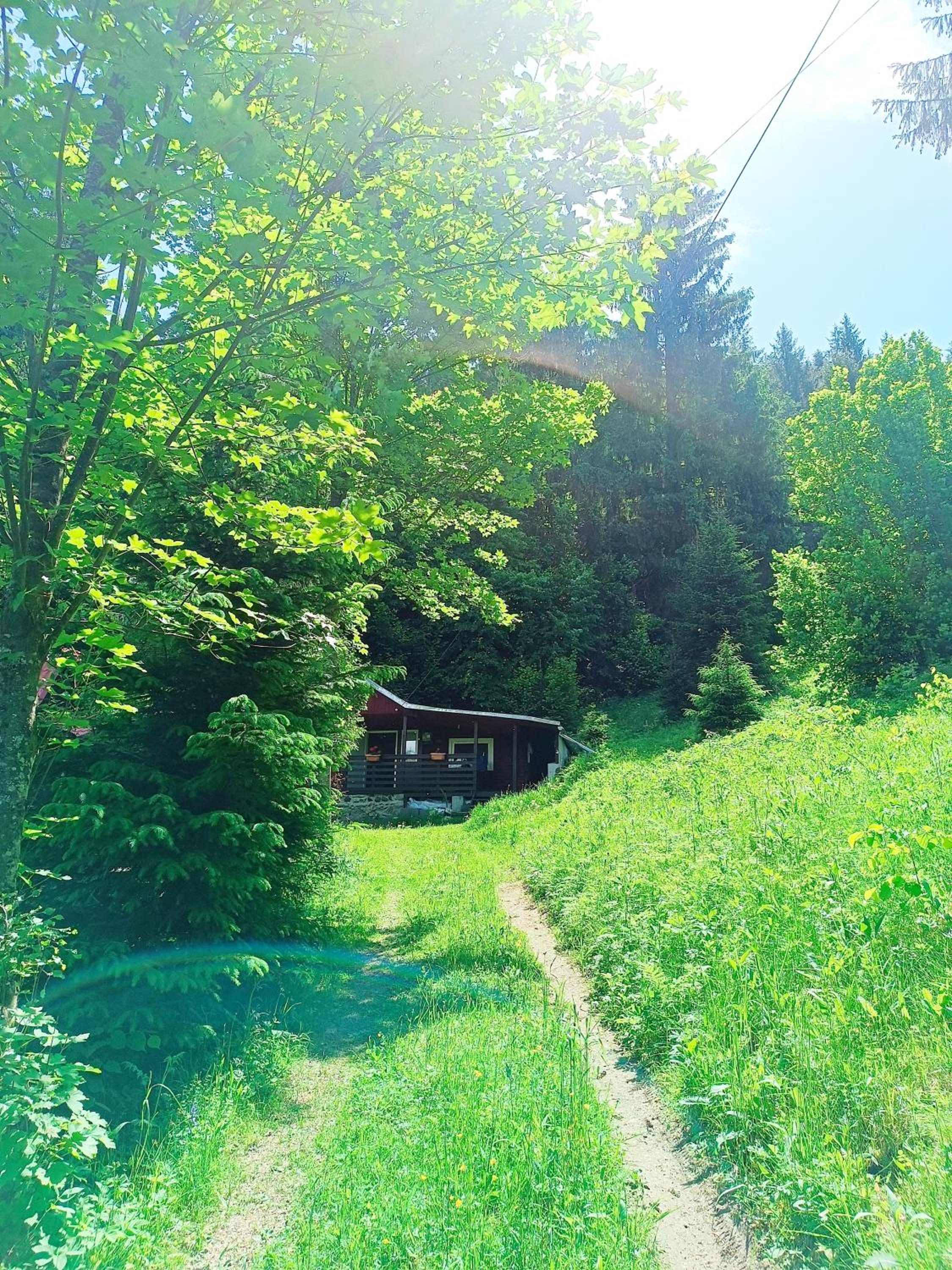 Photo 8