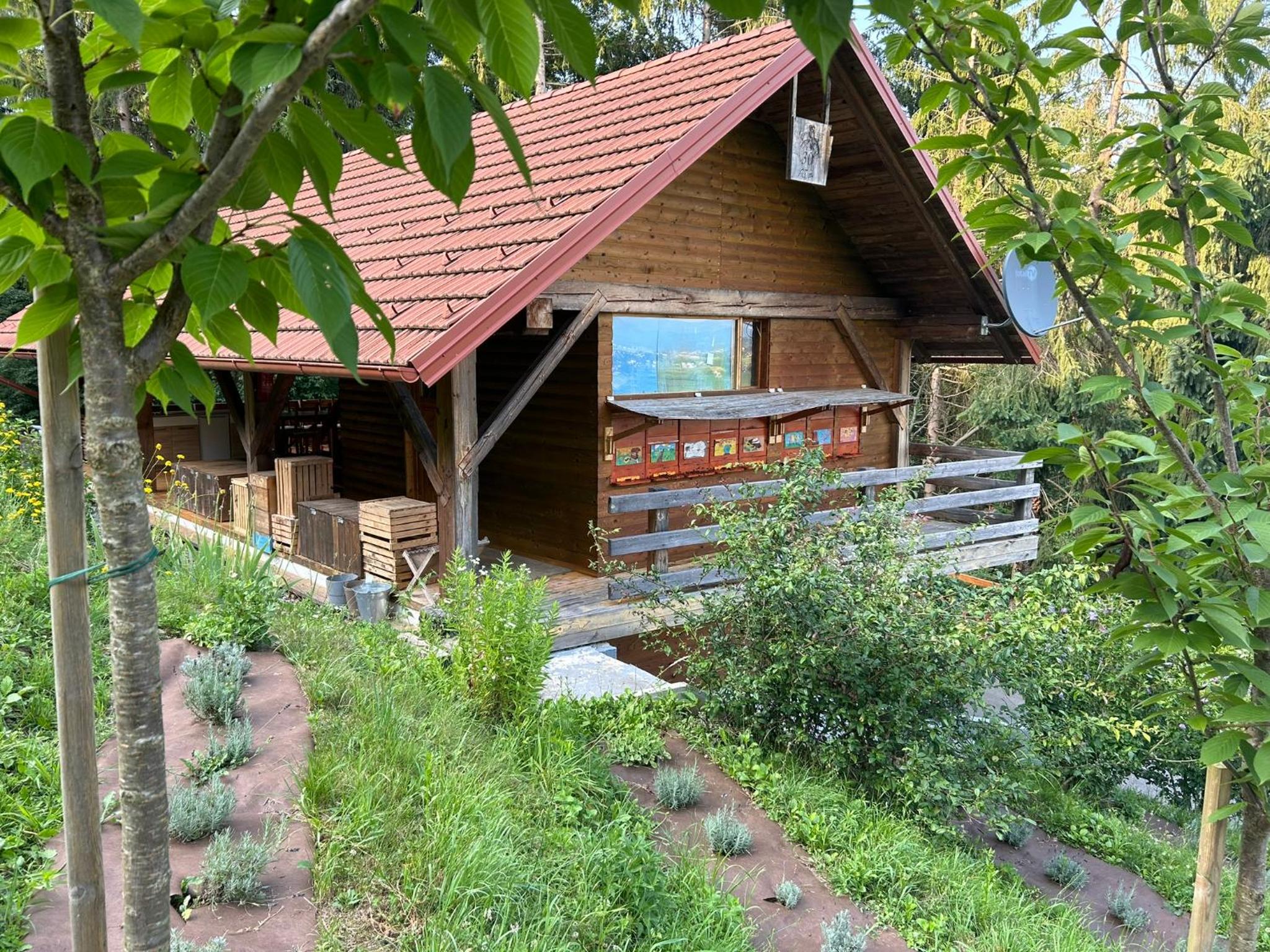 Hotel The BeeHouse, Nature stay, Renovated 2024 - Image 1