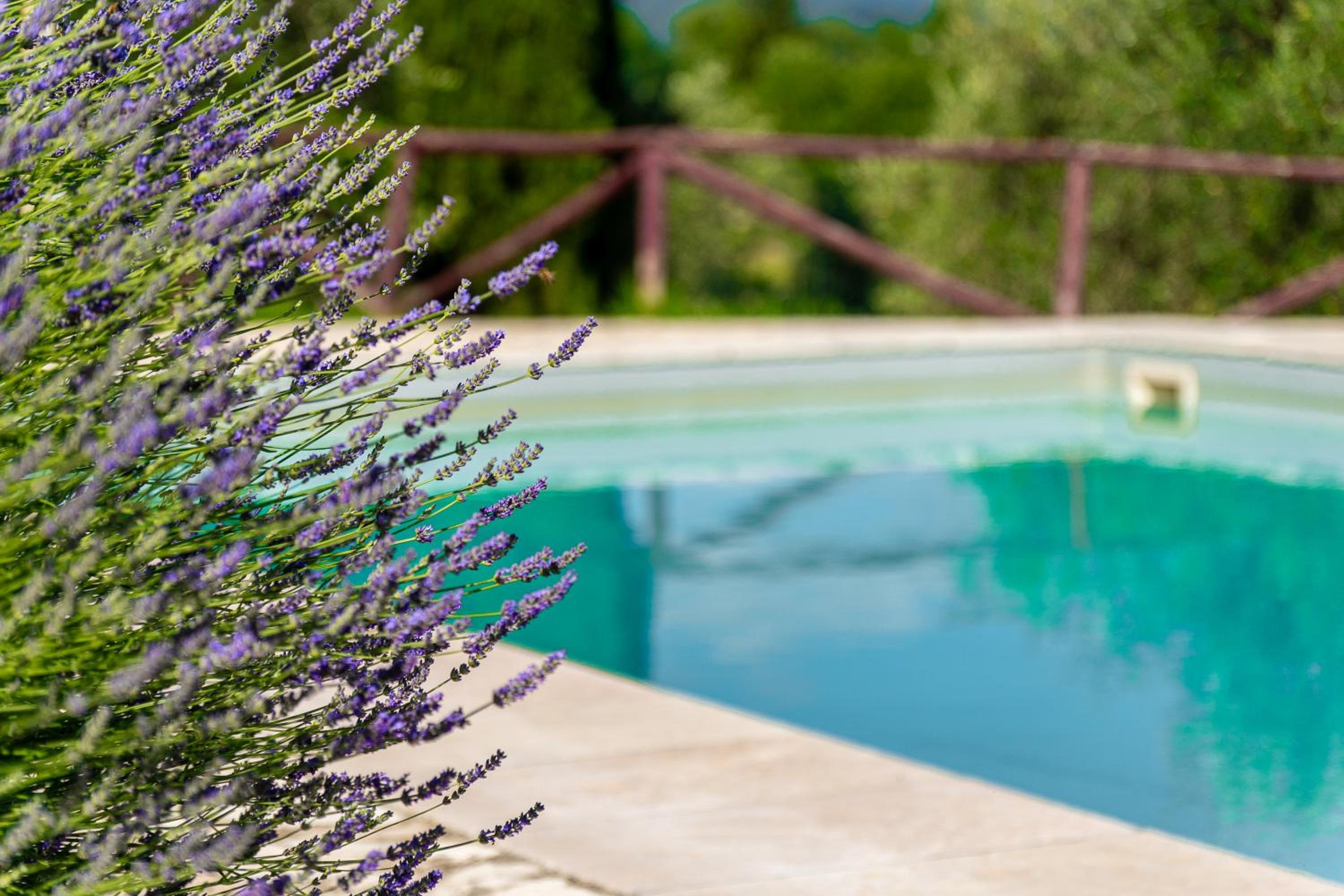 Bellaria Apartments - Chianti View, Swimming Pool, Nature