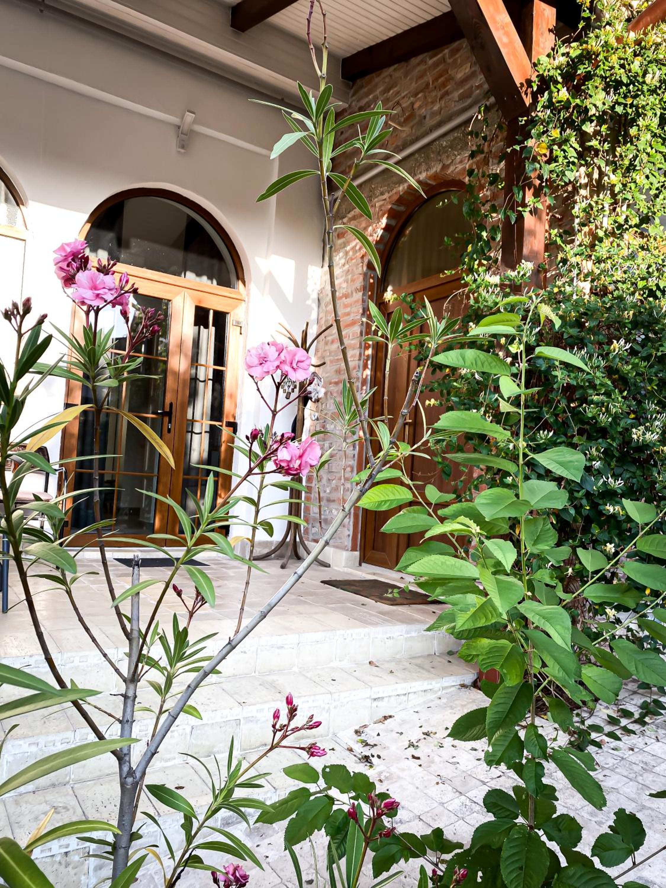 CENTRAL APARTAMENT with GARDEN