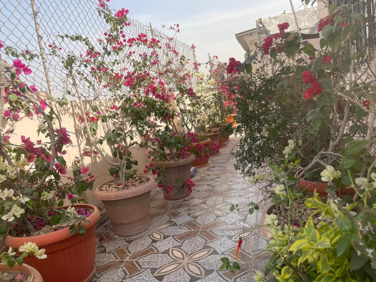 Cairo Pulse Luxury rooms