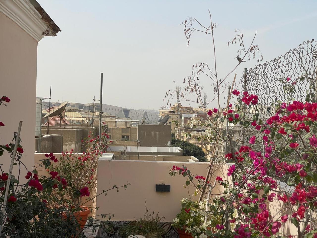 Cairo Pulse Luxury rooms