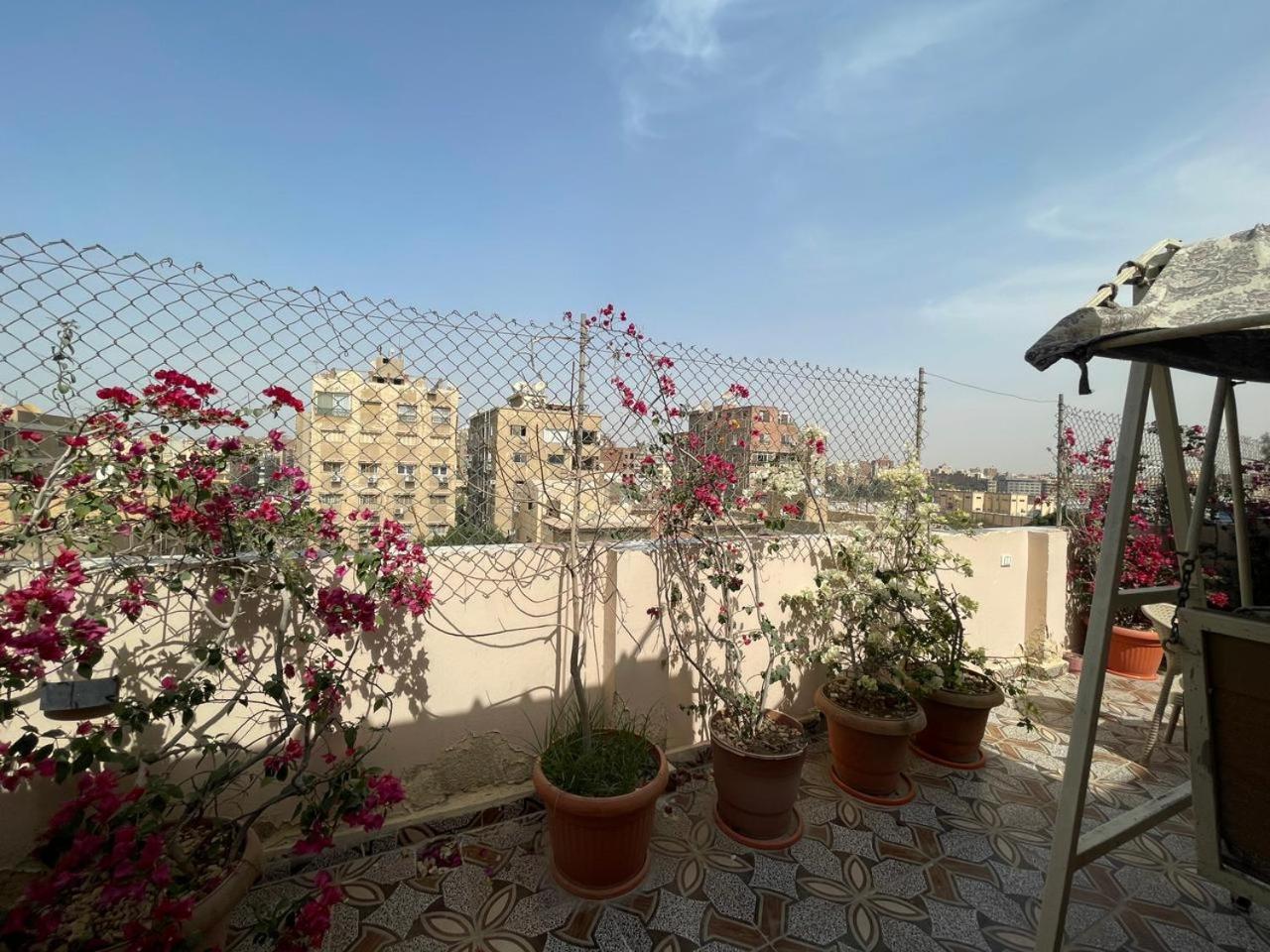 Cairo Pulse Luxury rooms