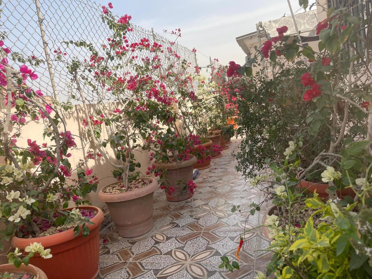 Cairo Pulse Luxury rooms