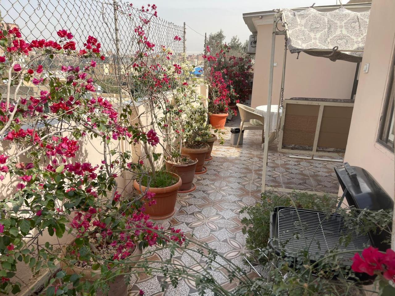 Cairo Pulse Luxury rooms