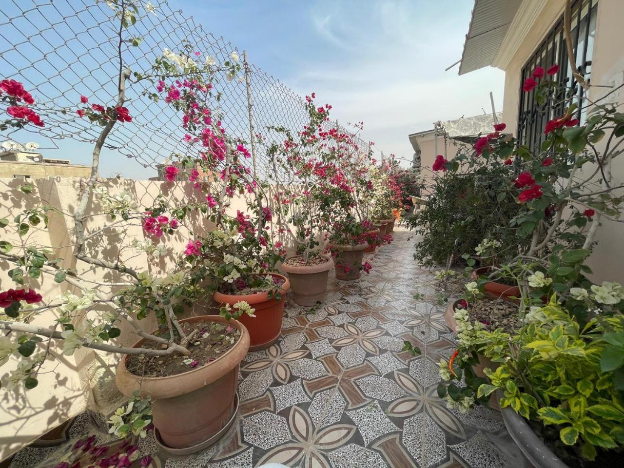 Cairo Pulse Luxury rooms