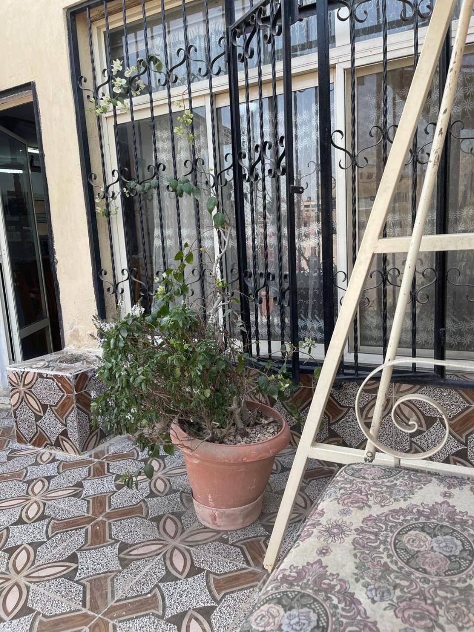 Cairo Pulse Luxury rooms