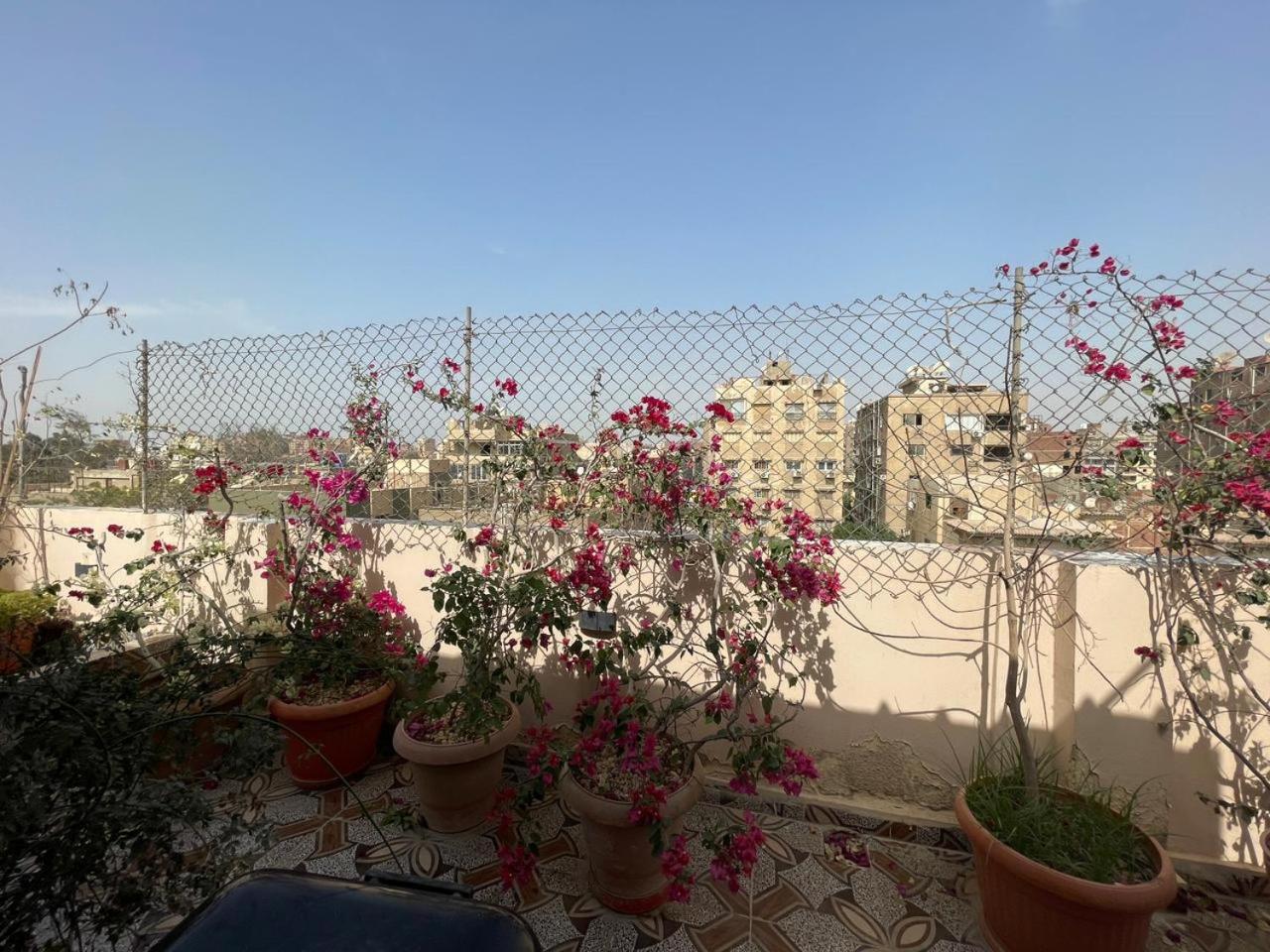 Cairo Pulse Luxury rooms