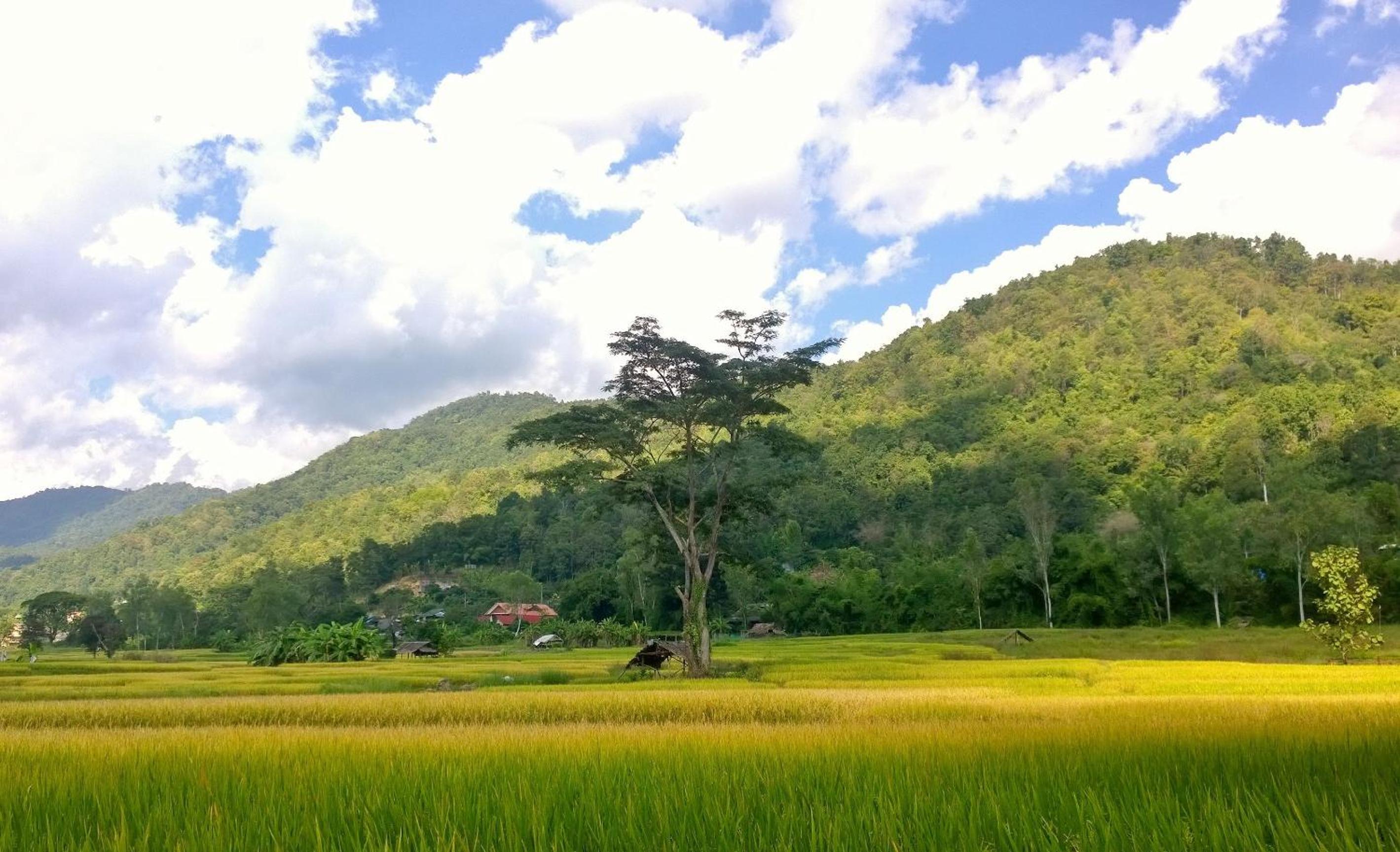 Bulunburi Resort
