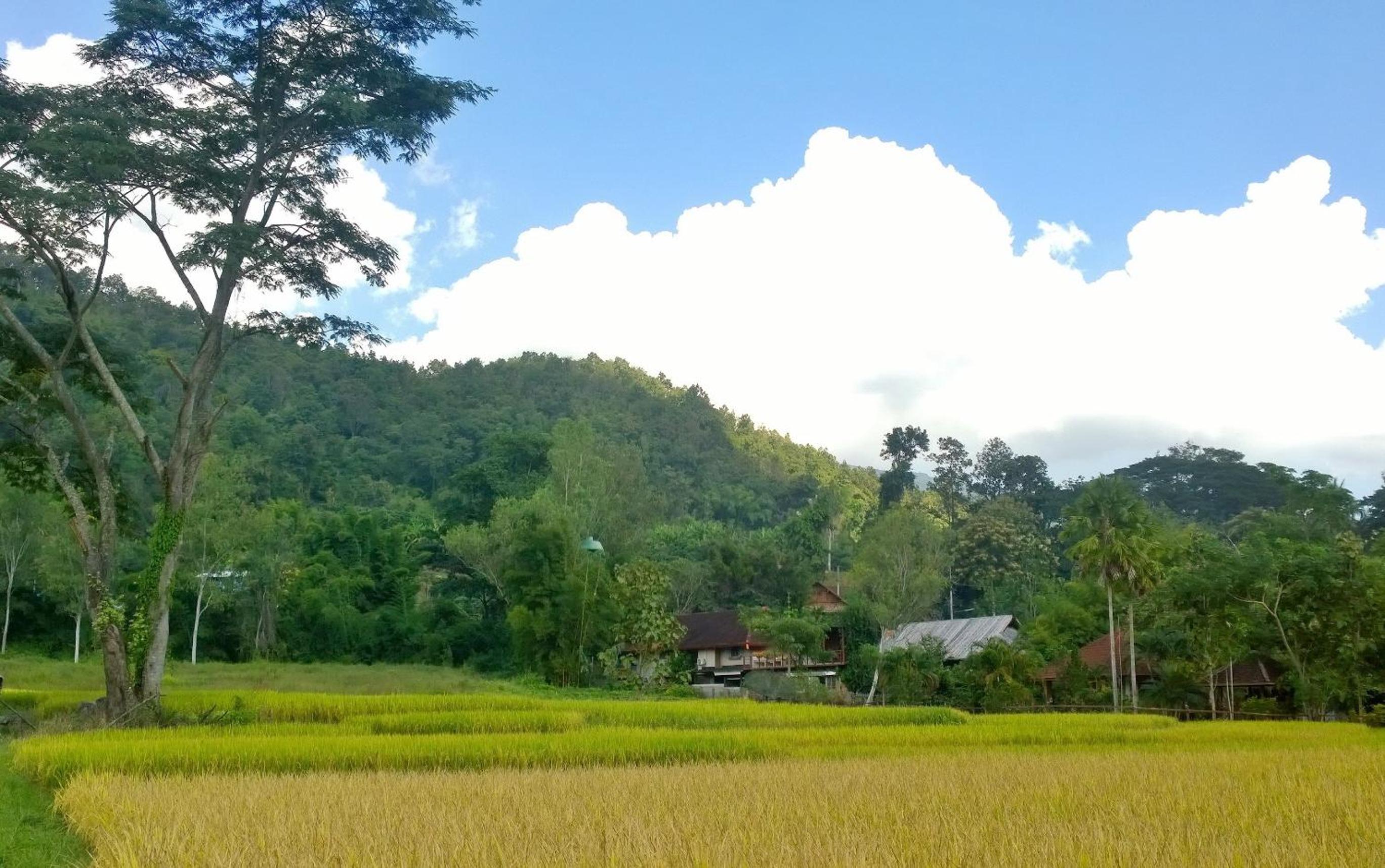 Bulunburi Resort