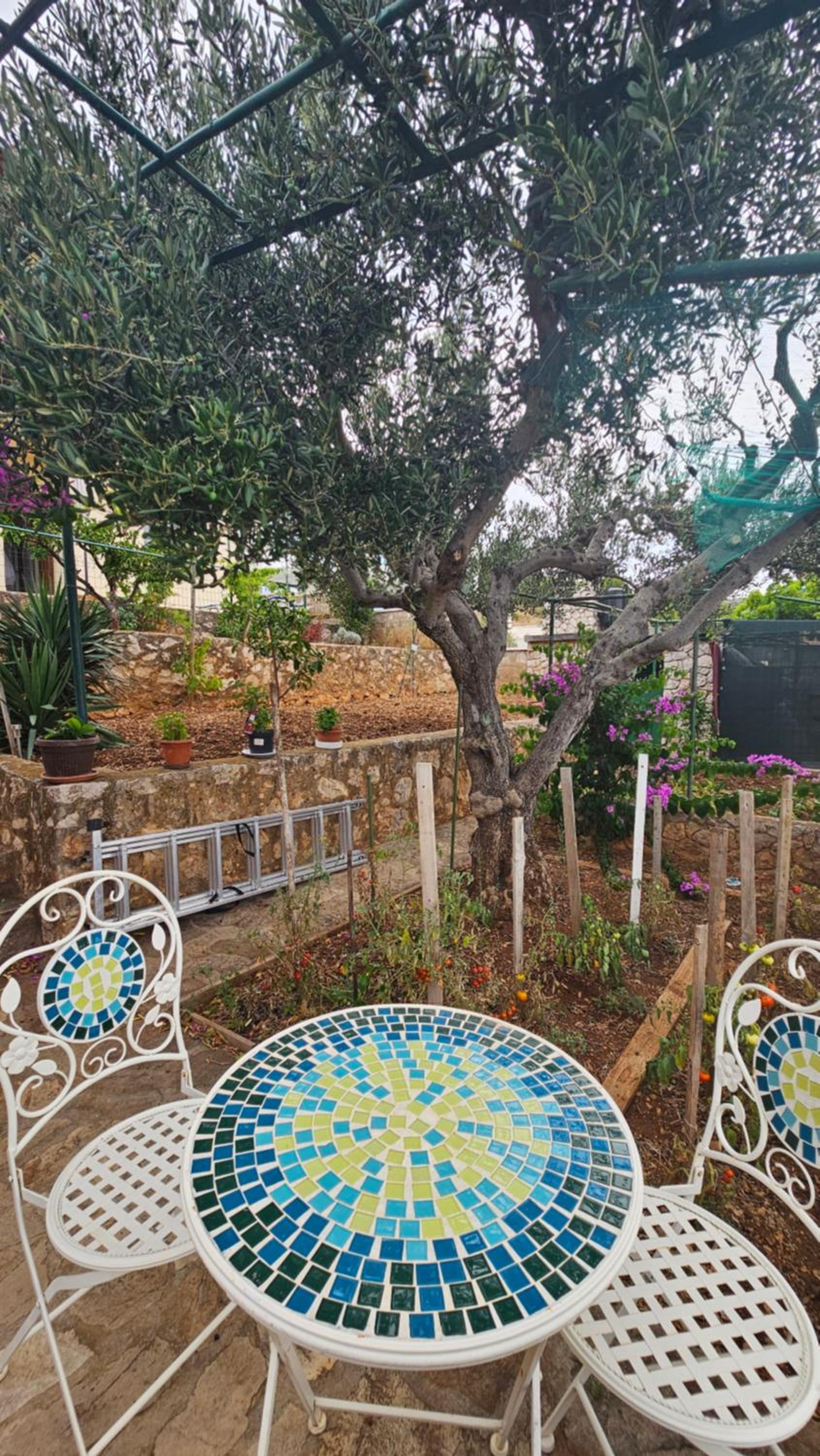 apartmantaja view 4