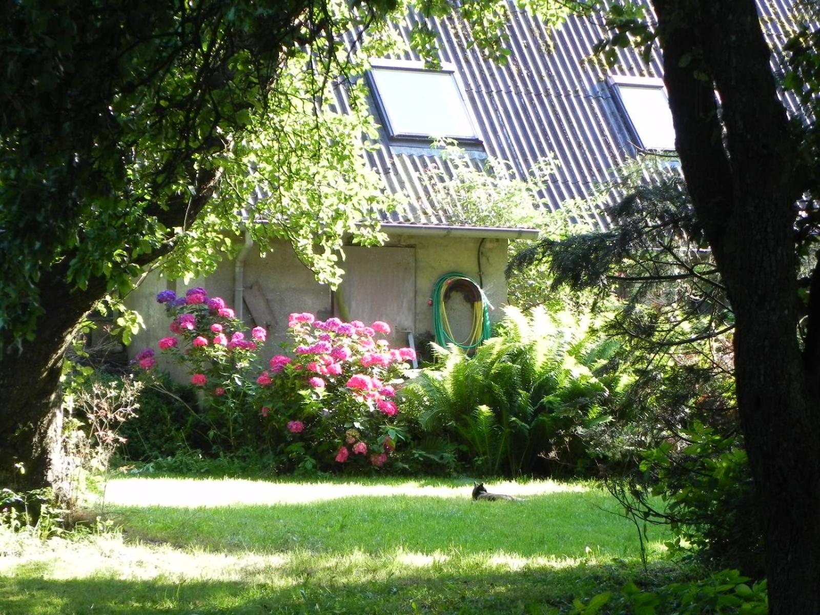 Ferienwohnung Mulleby