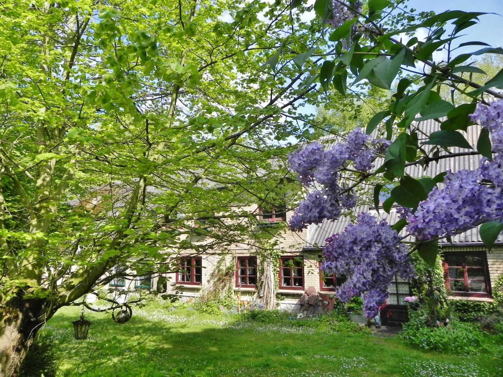 Ferienwohnung Mulleby