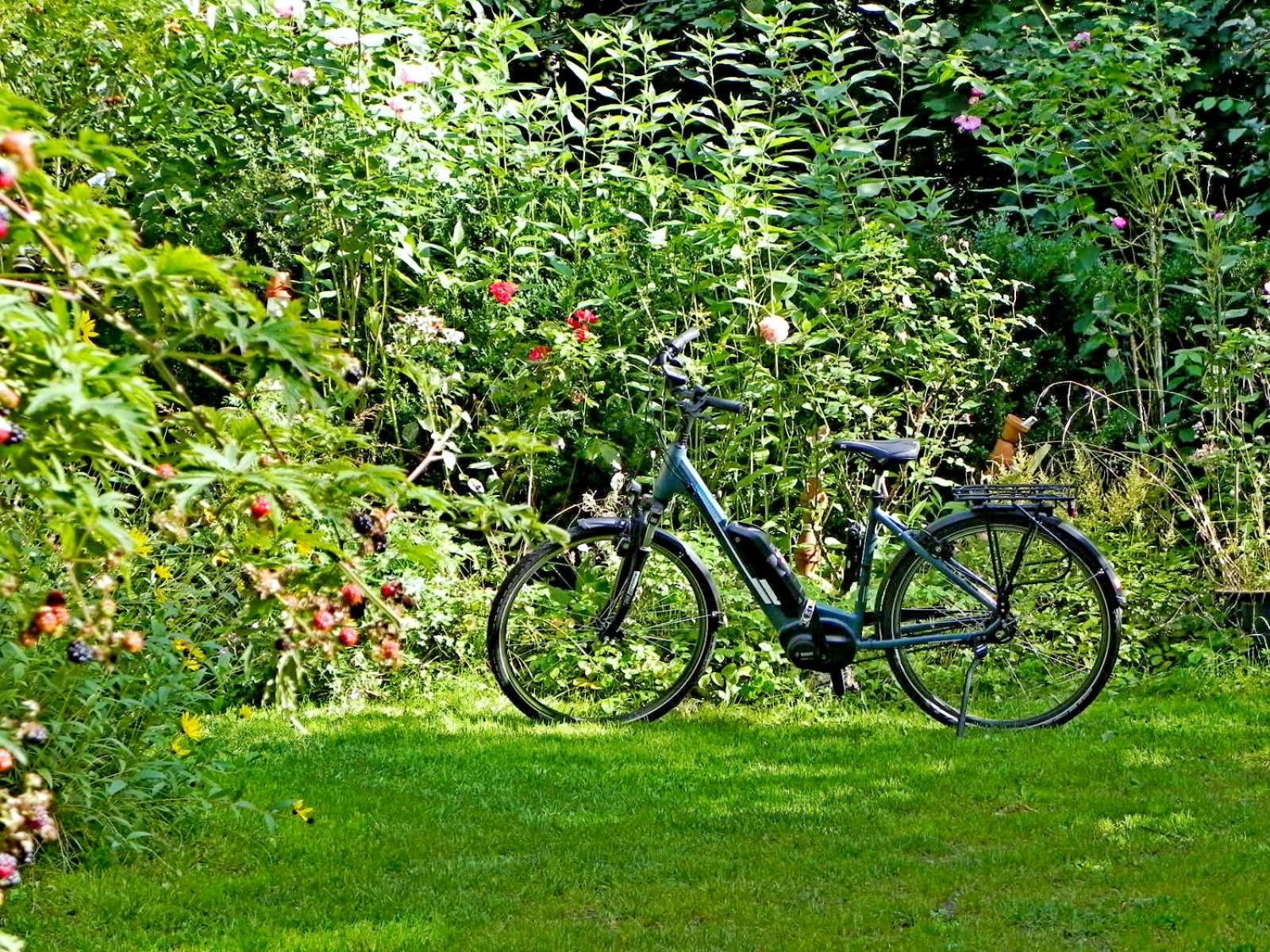 Ferienwohnung Mulleby