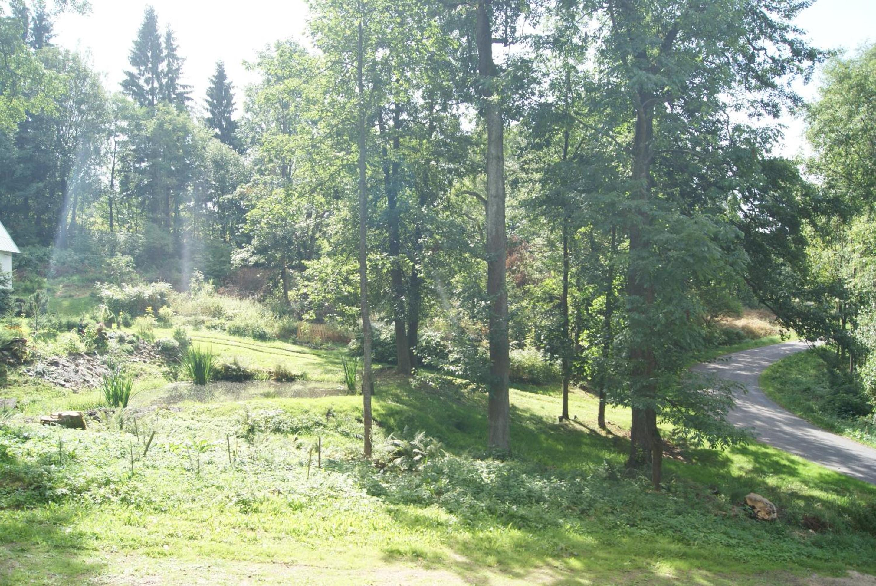 Photo 32