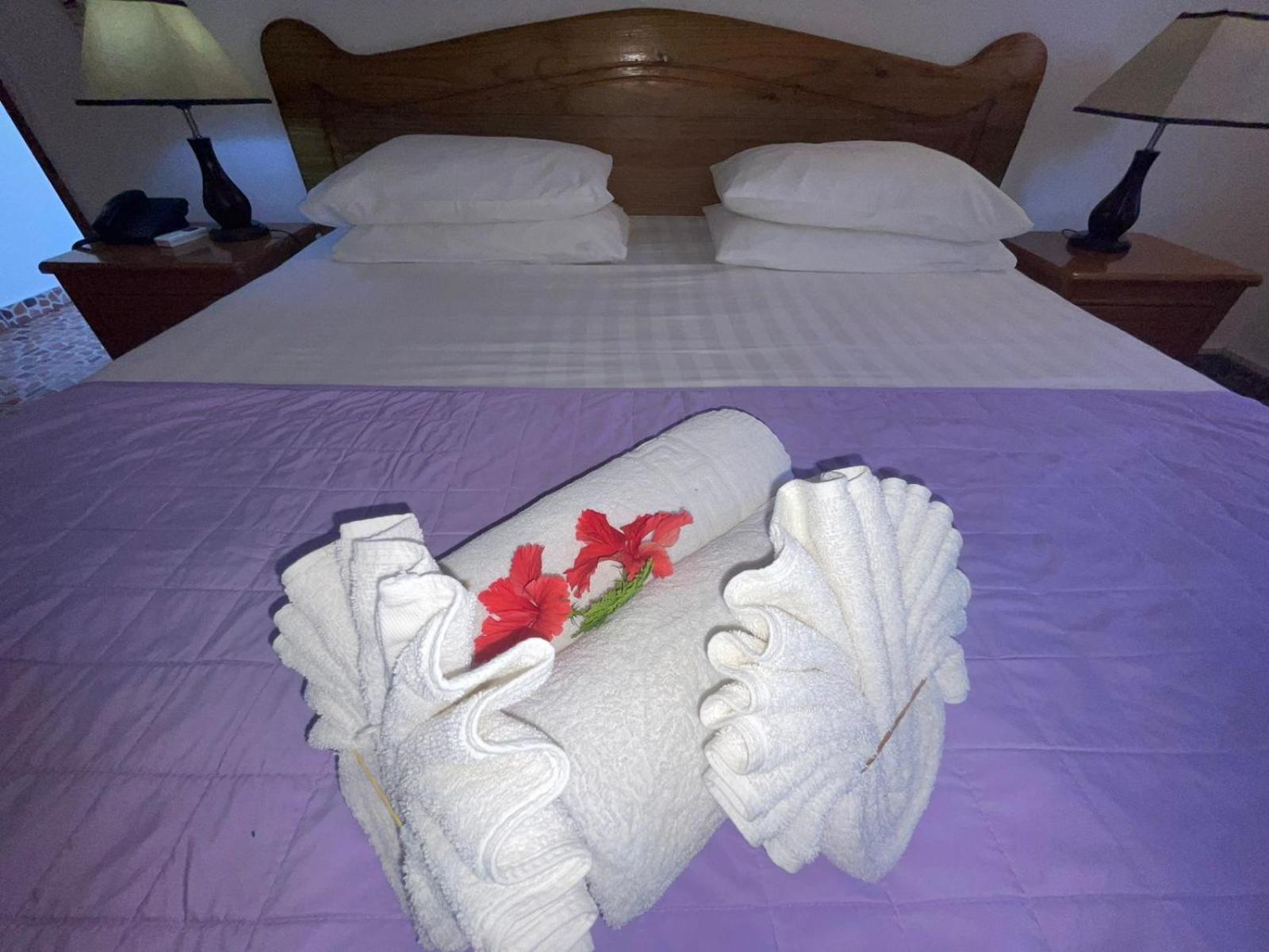 Orchid Self Catering Apartment