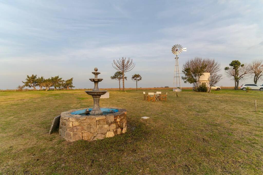 Photo 19