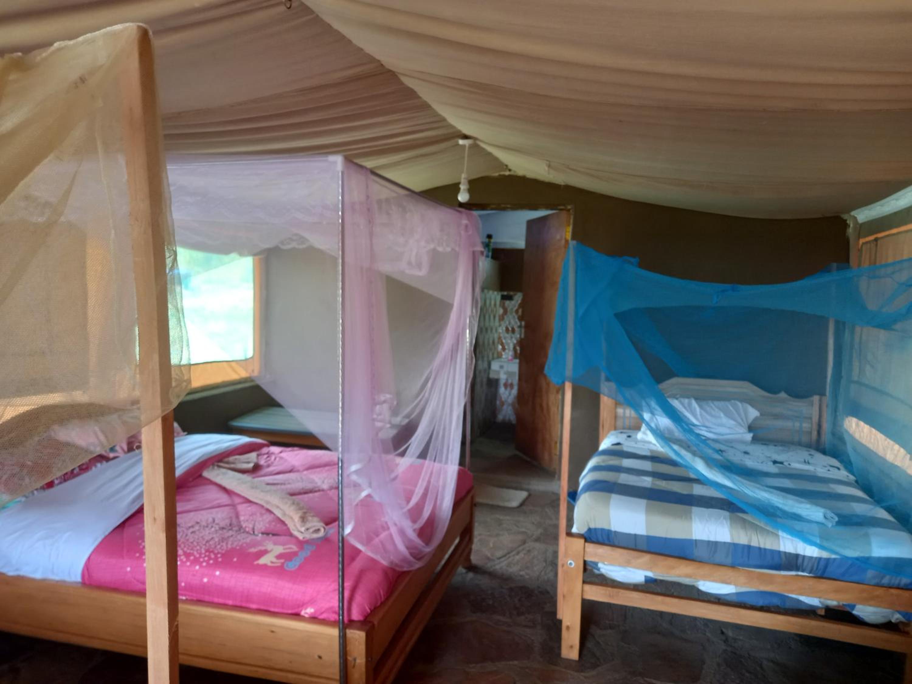 Elephant trails camp