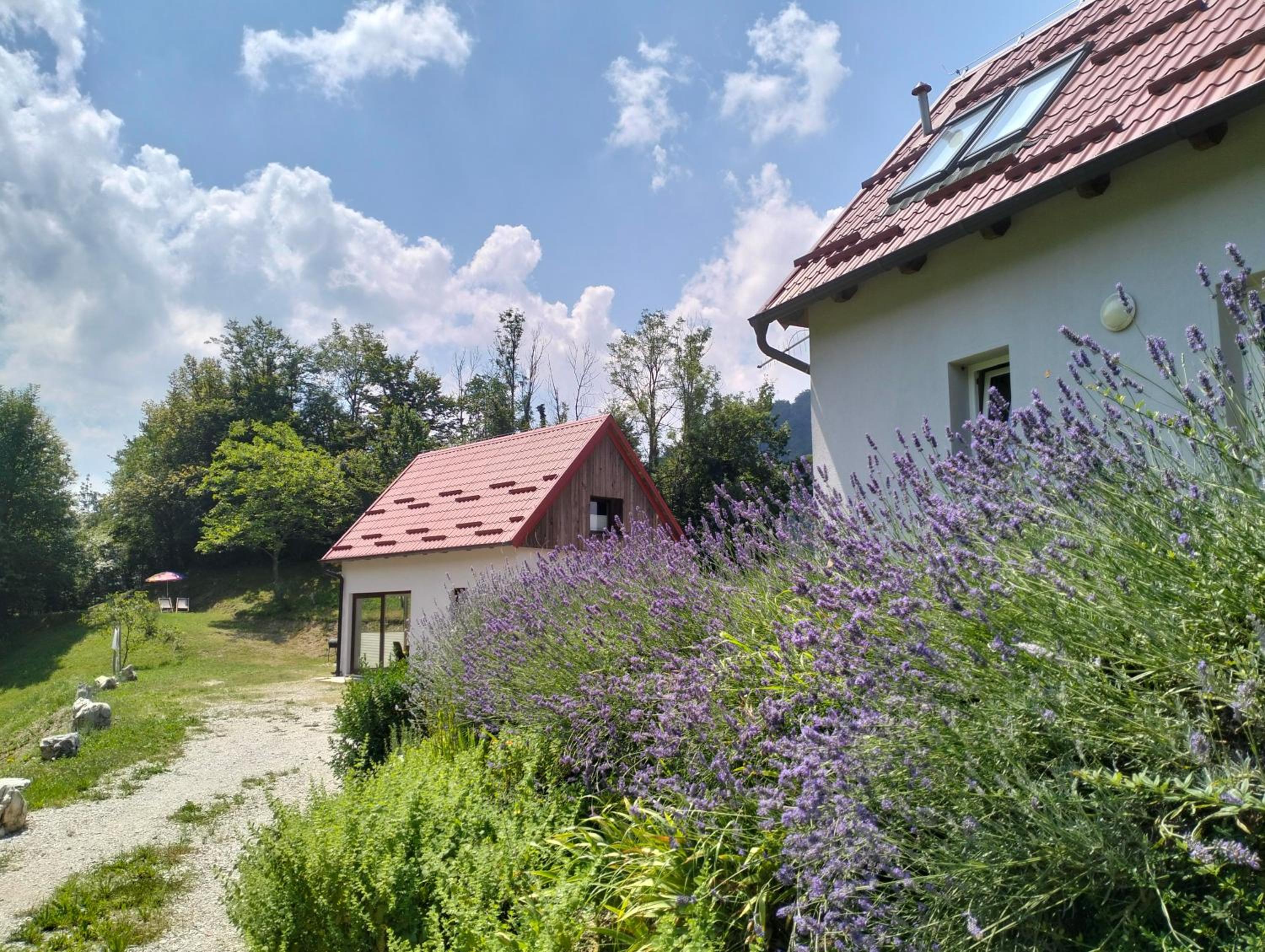 Holiday home Dreams