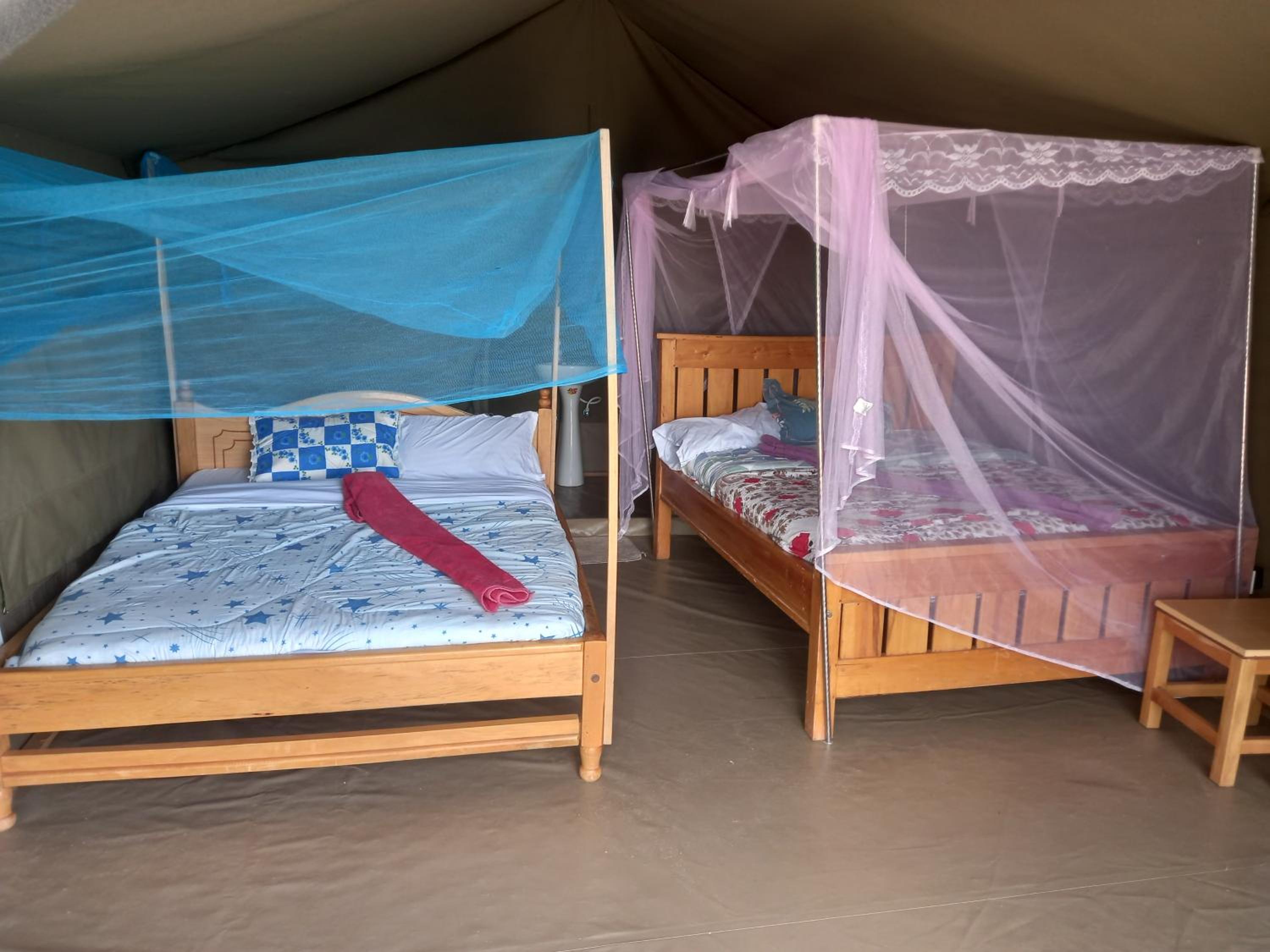 Elephant trails camp