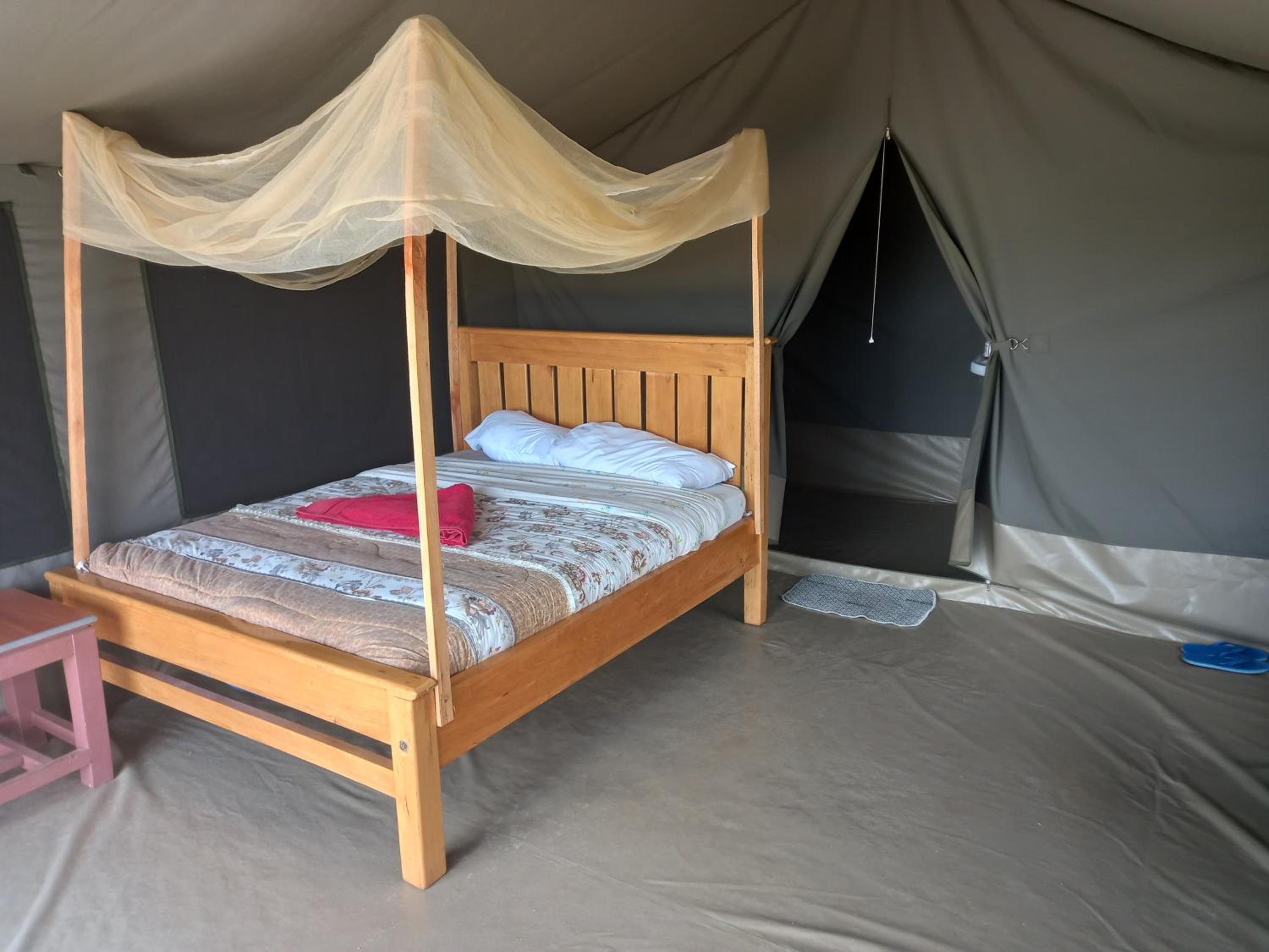 Elephant trails camp