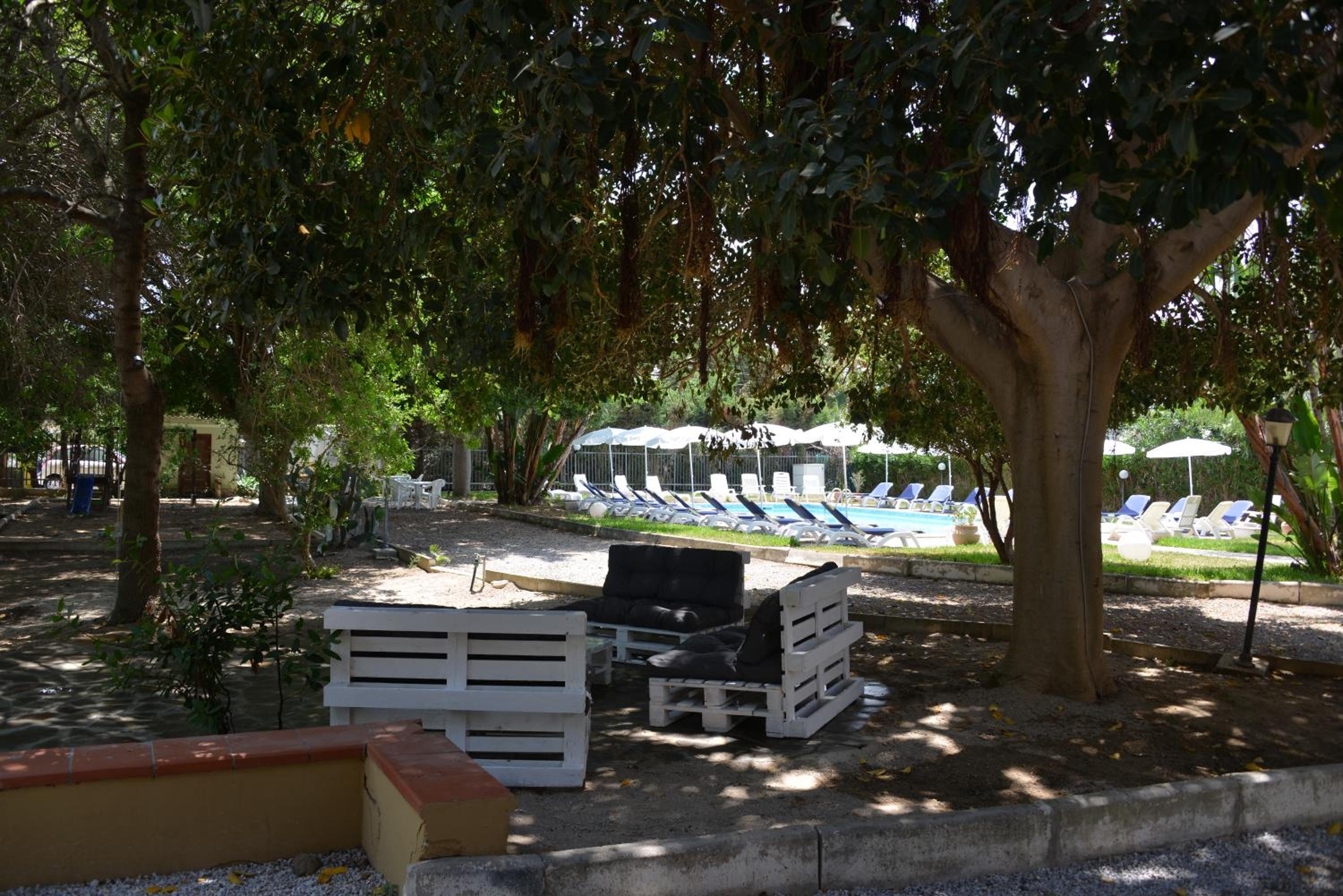 Photo 15