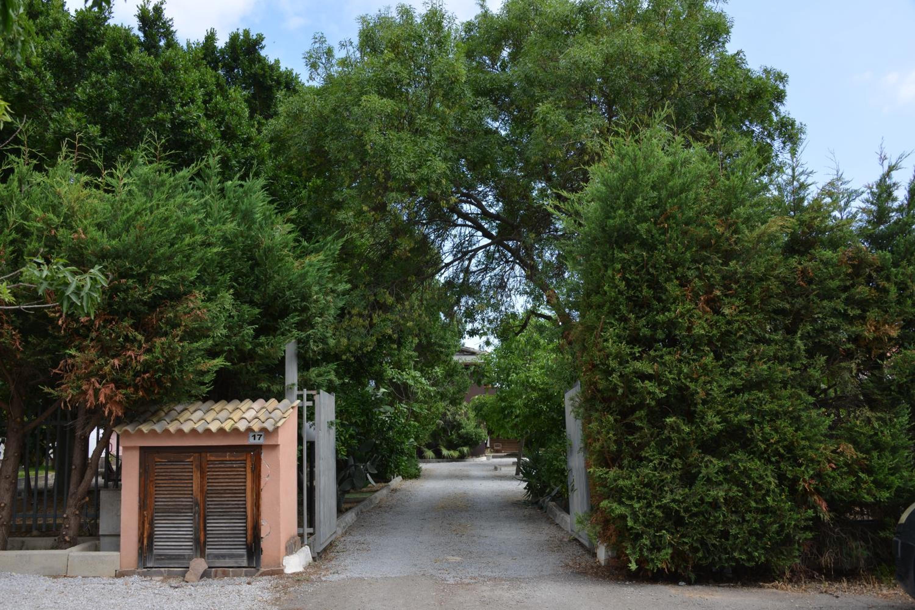 Photo 14