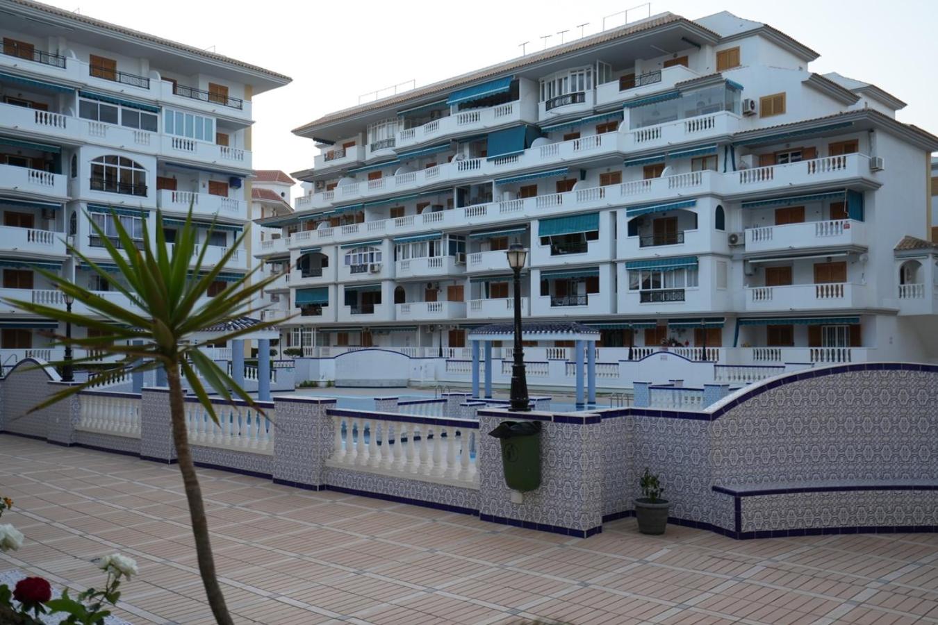 Calathea Apartment La Mata