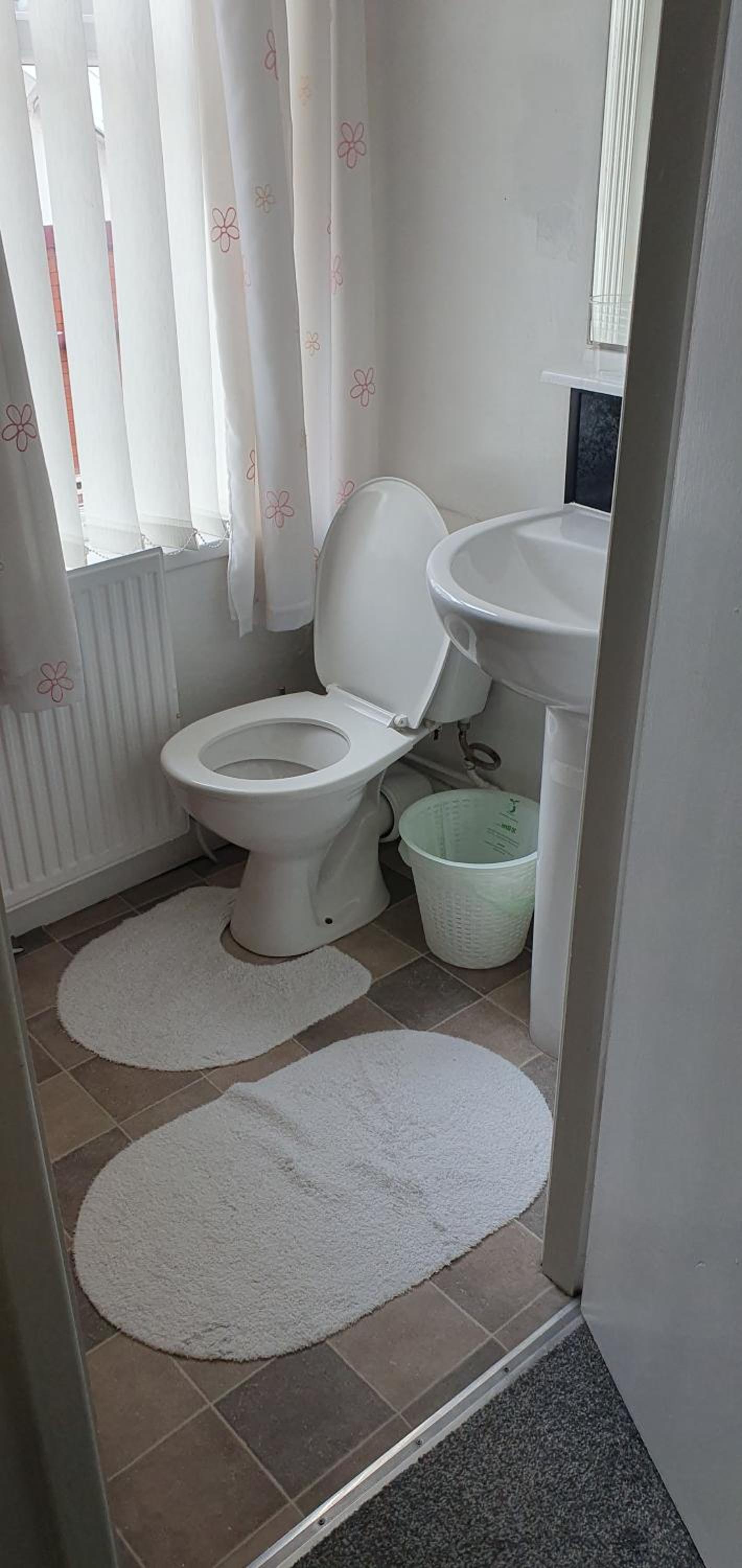 Photo 31